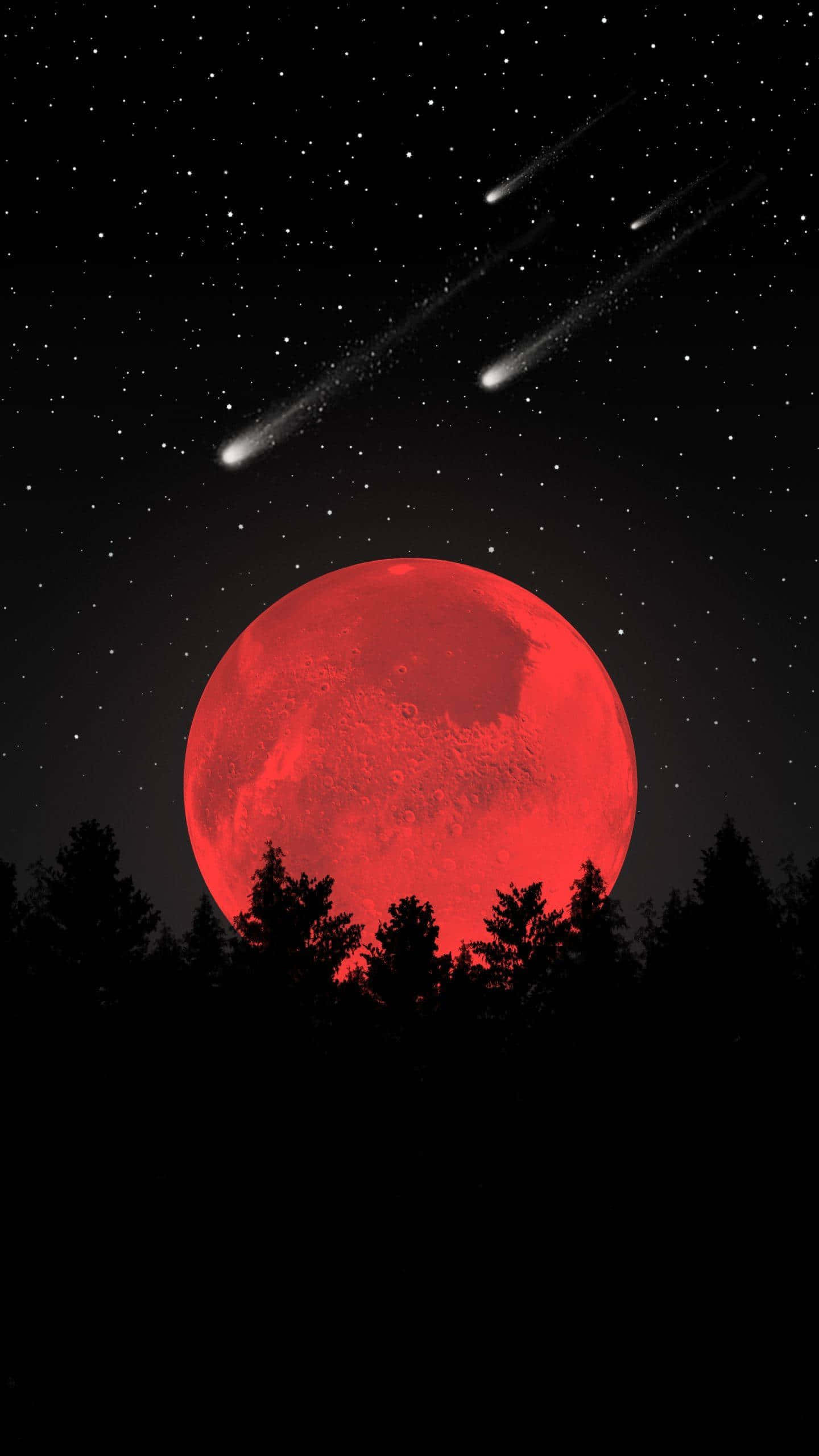 Cool Moon, blood red moon, dark forest, 2K Phone Wallpaper