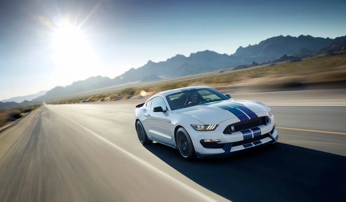 Cool Mustang