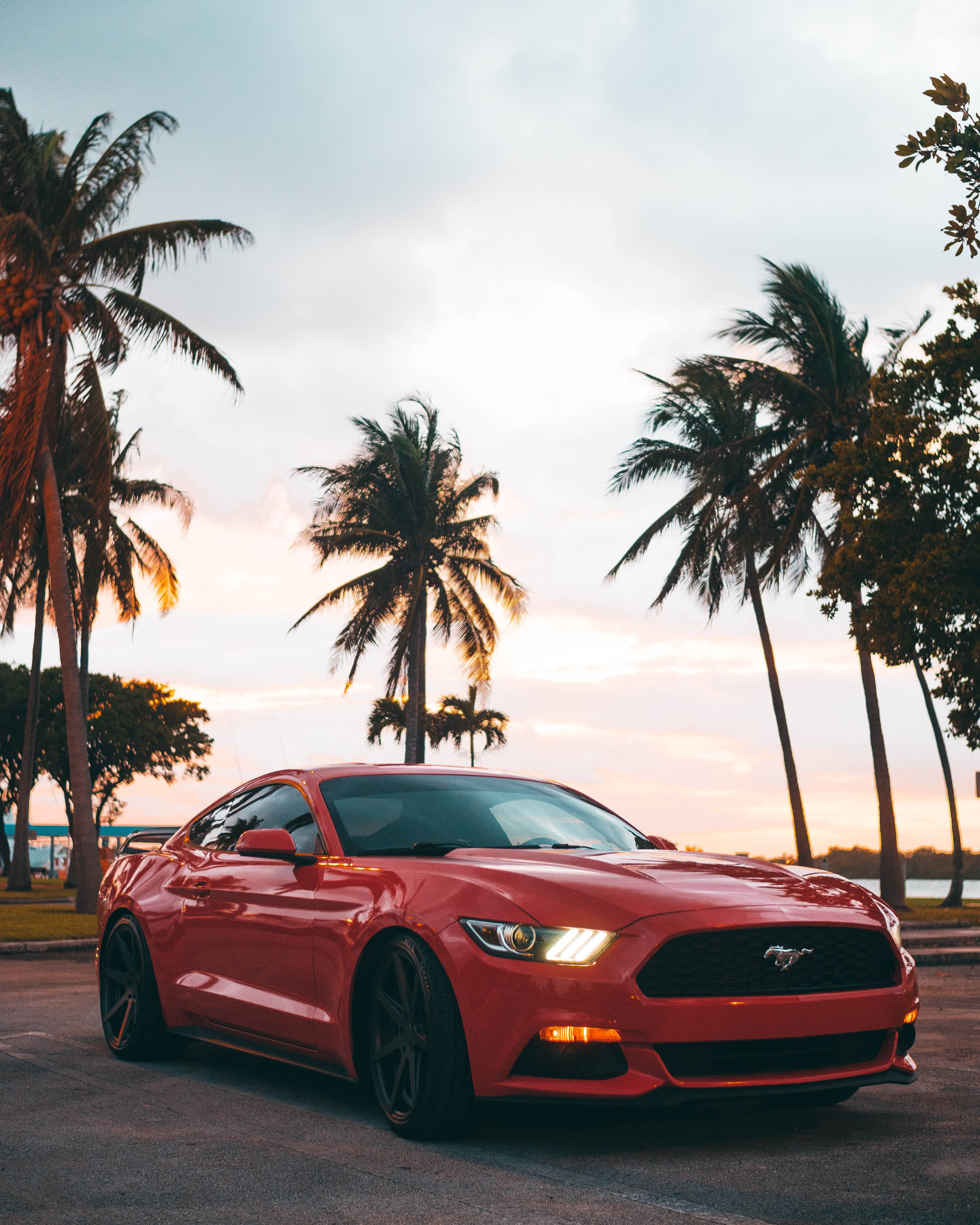 Cool Mustang, red, glossy, 4K Phone Wallpaper