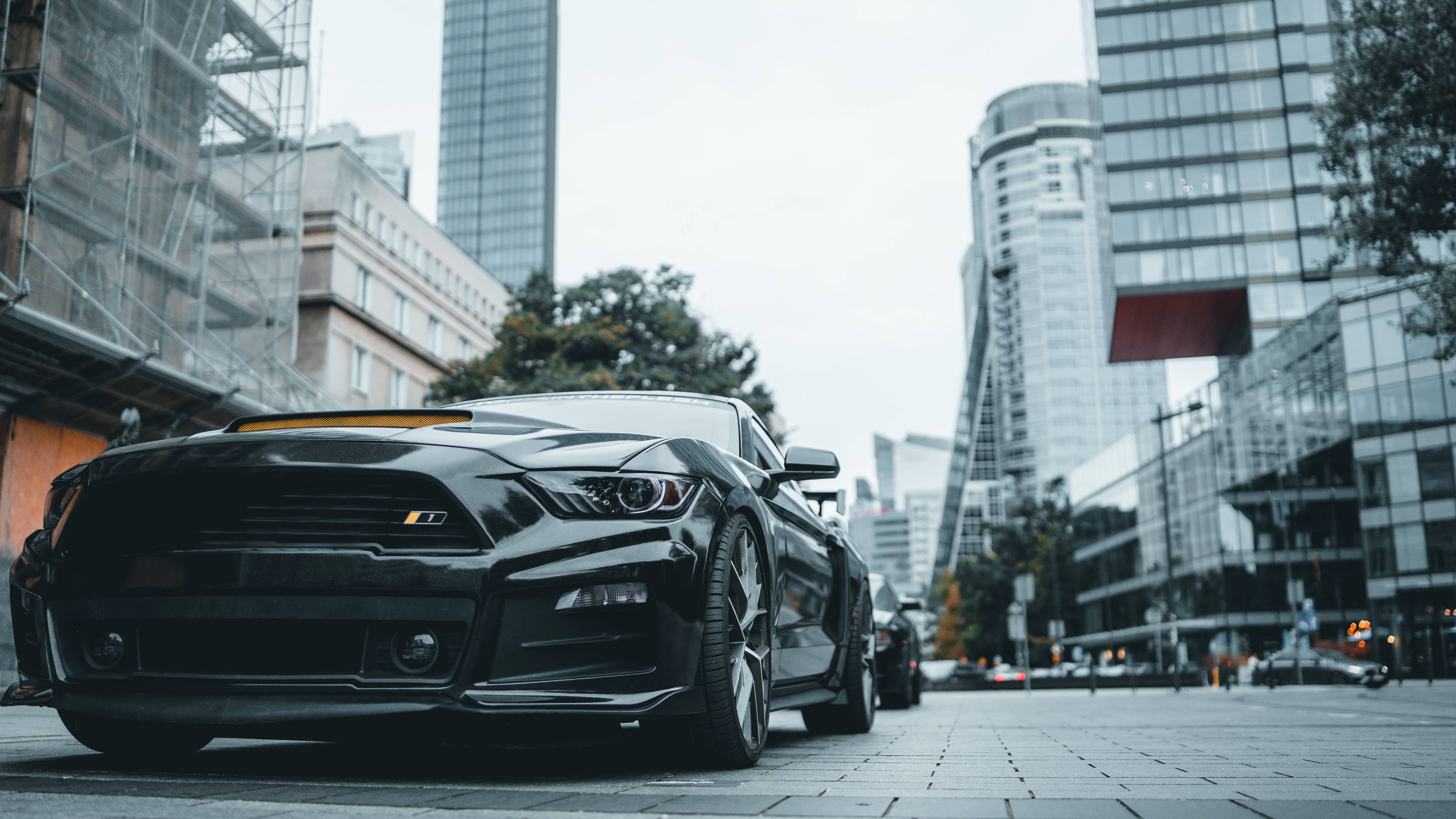 Cool Mustang, black, sports car, 5K Desktop Wallpaper