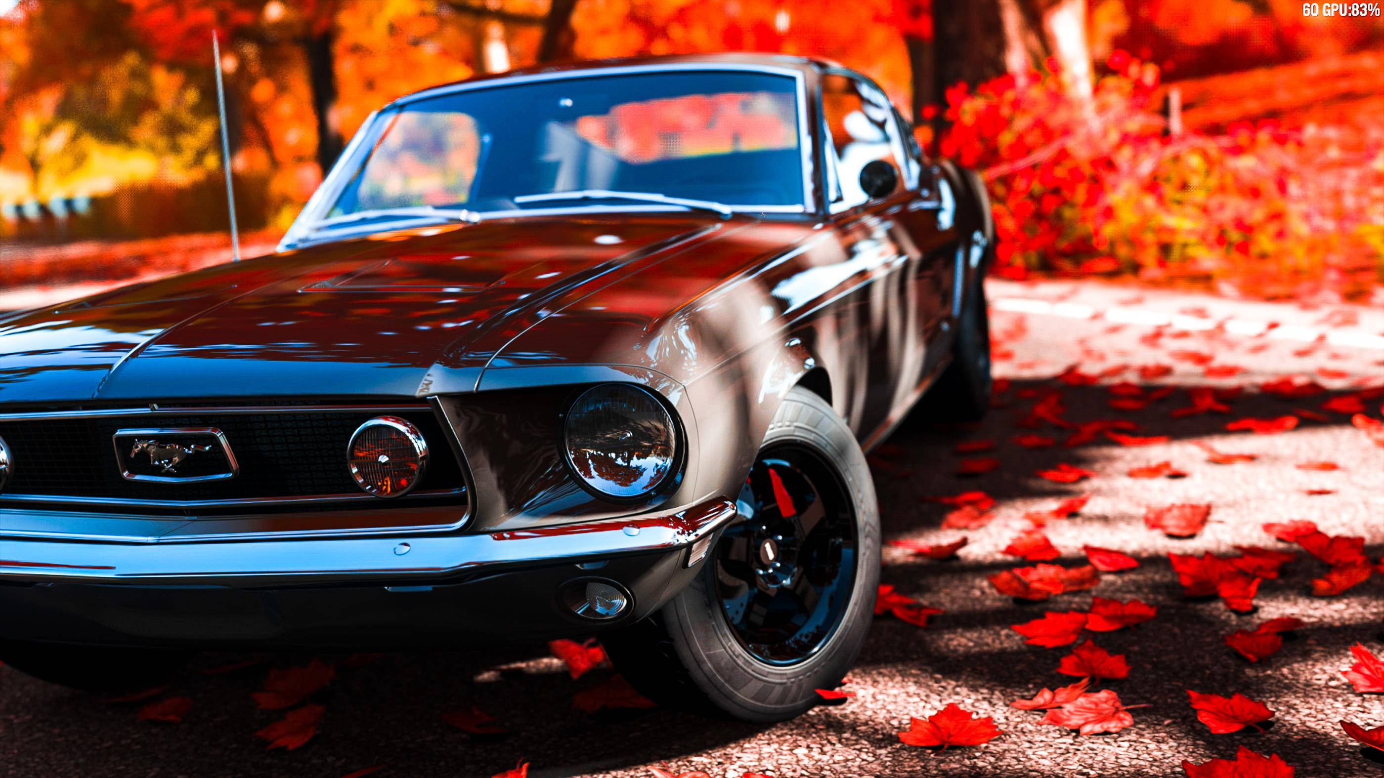 Mustang, black Mustang, autumn sun, 2K Desktop Wallpaper