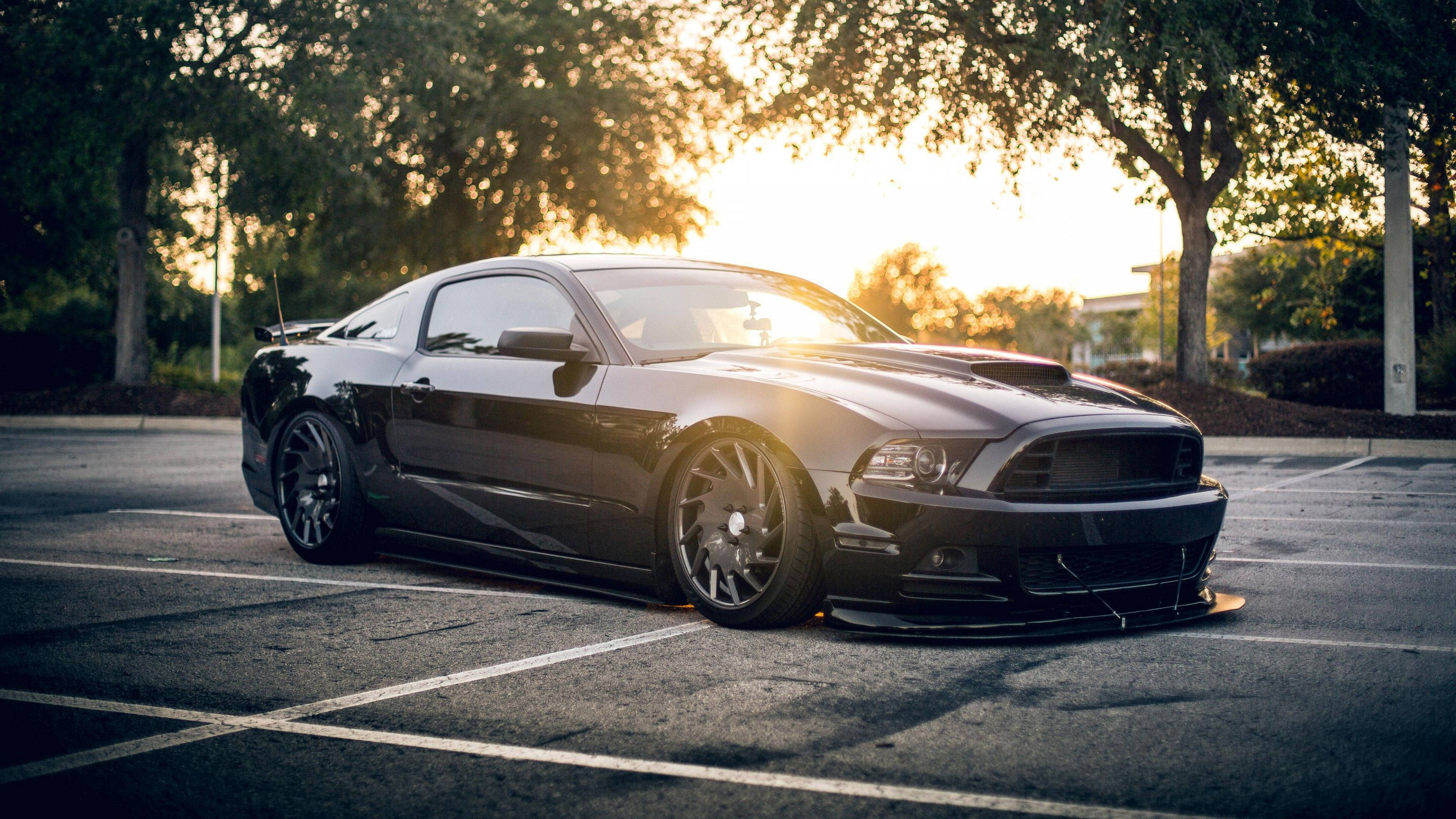 Cool Mustang, sleek black muscle car, golden sunset light, 4K Desktop Wallpaper