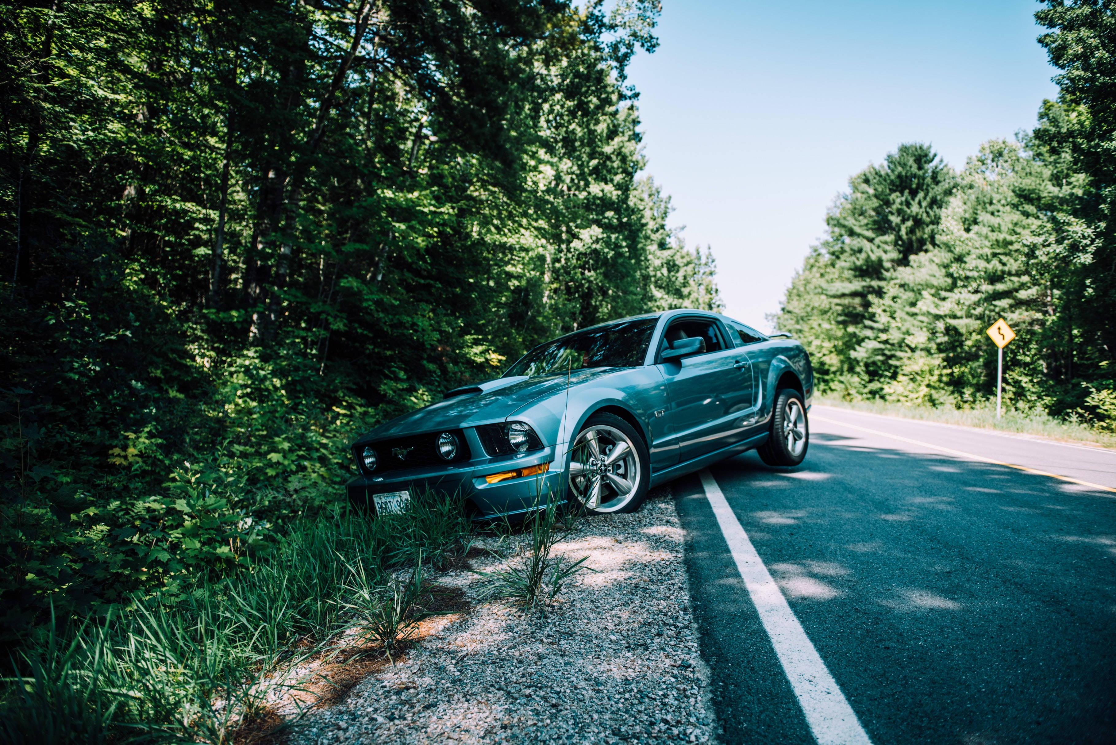 Cool Mustang, teal Mustang, sports car, 2K Desktop Wallpaper