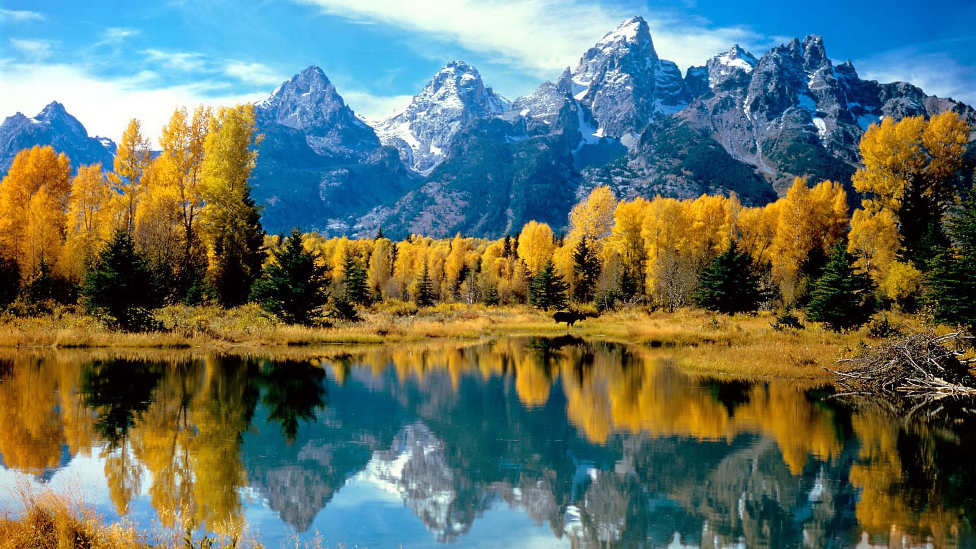 Cool Nature, Winter Mountains, golden autumn forest, Full HD Desktop Wallpaper