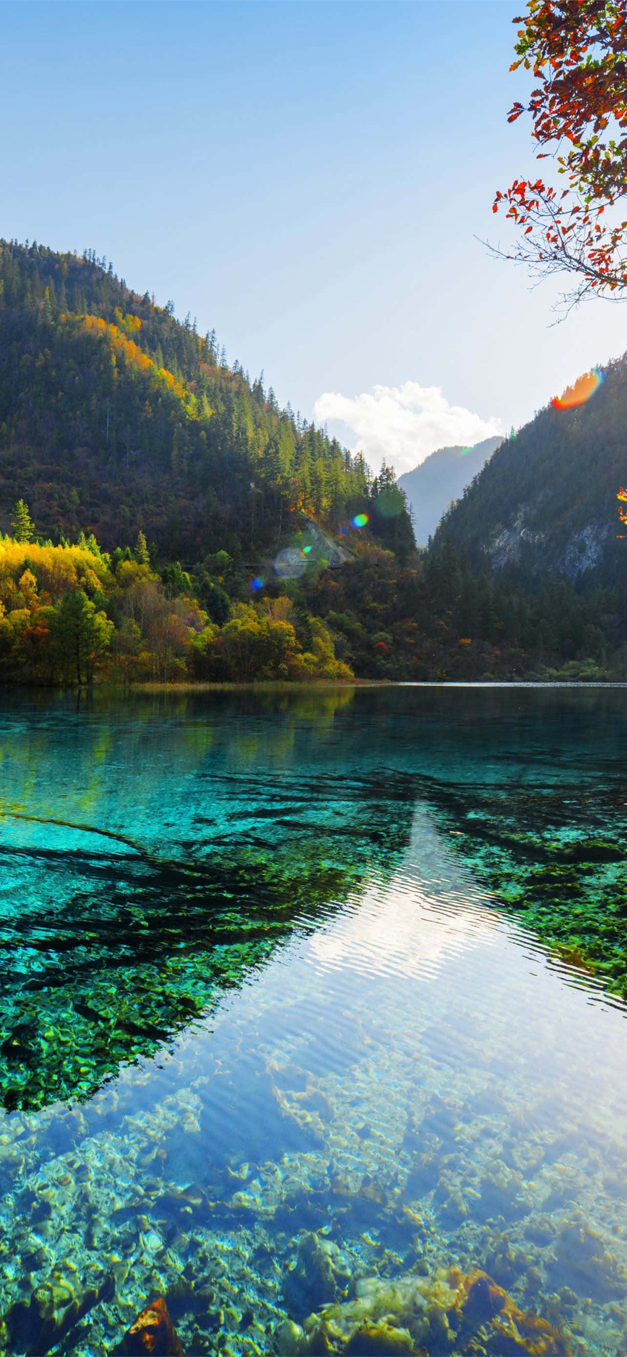 mountain lake, turquoise water, autumn trees, 2K Phone Wallpaper