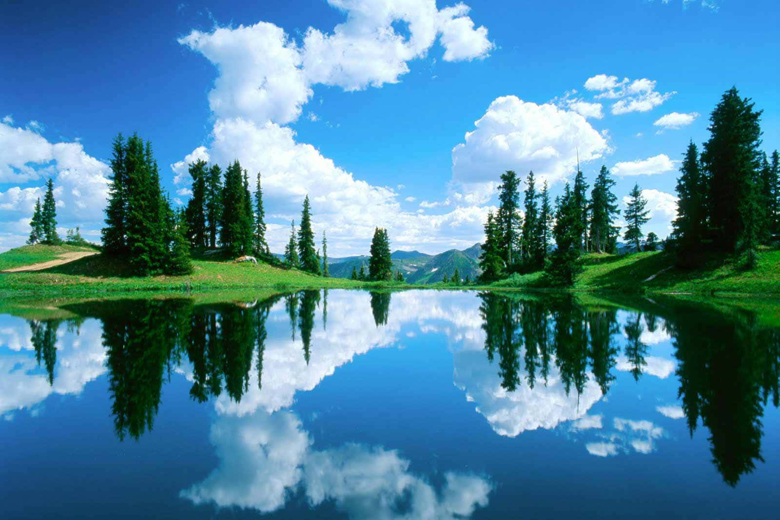 Cool Nature, Lake Forest, serene lake, HD Desktop Wallpaper