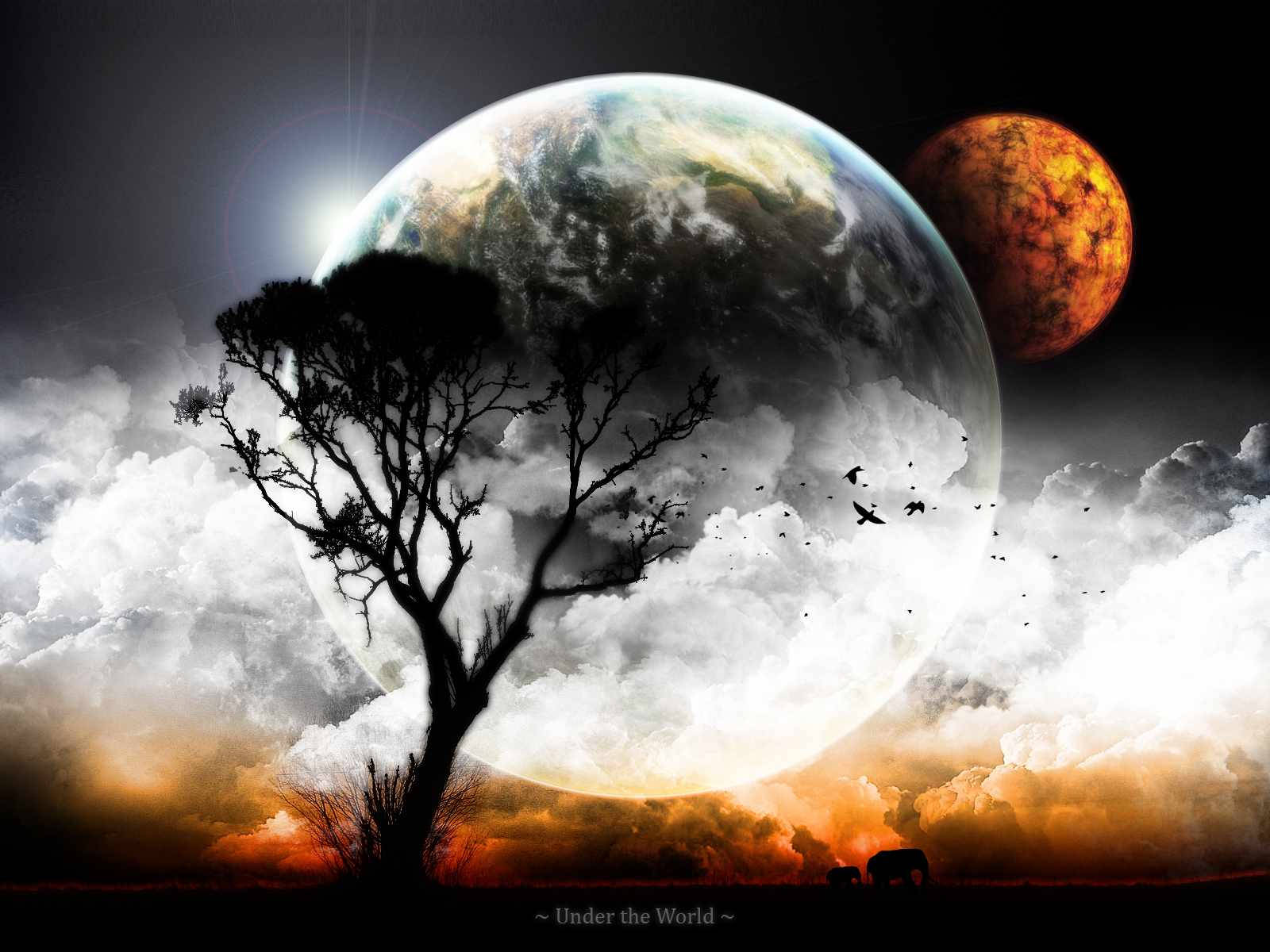 moon, tree, glowing planet, HD Desktop Wallpaper