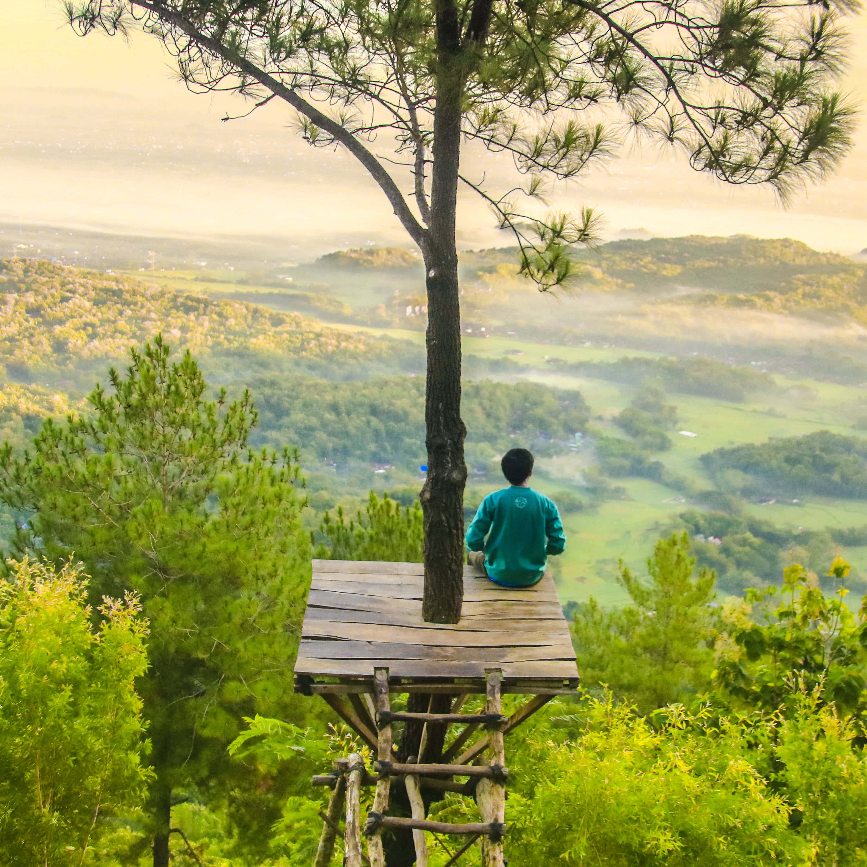 teal shirt, wooden treehouse platform, misty green valley, 2K Desktop Wallpaper