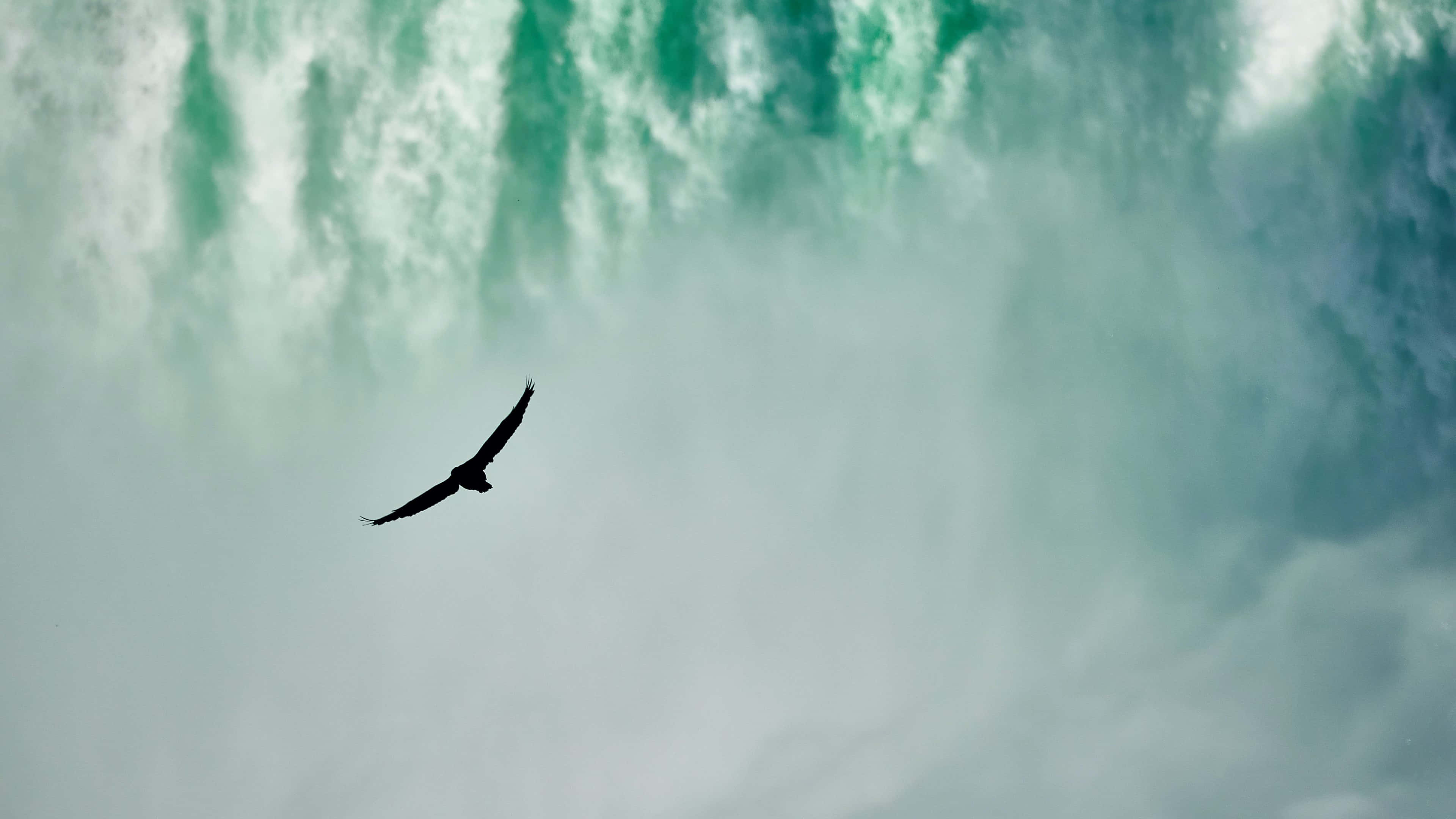 eagle, silhouette, misty turquoise cascade, 4K Desktop Wallpaper