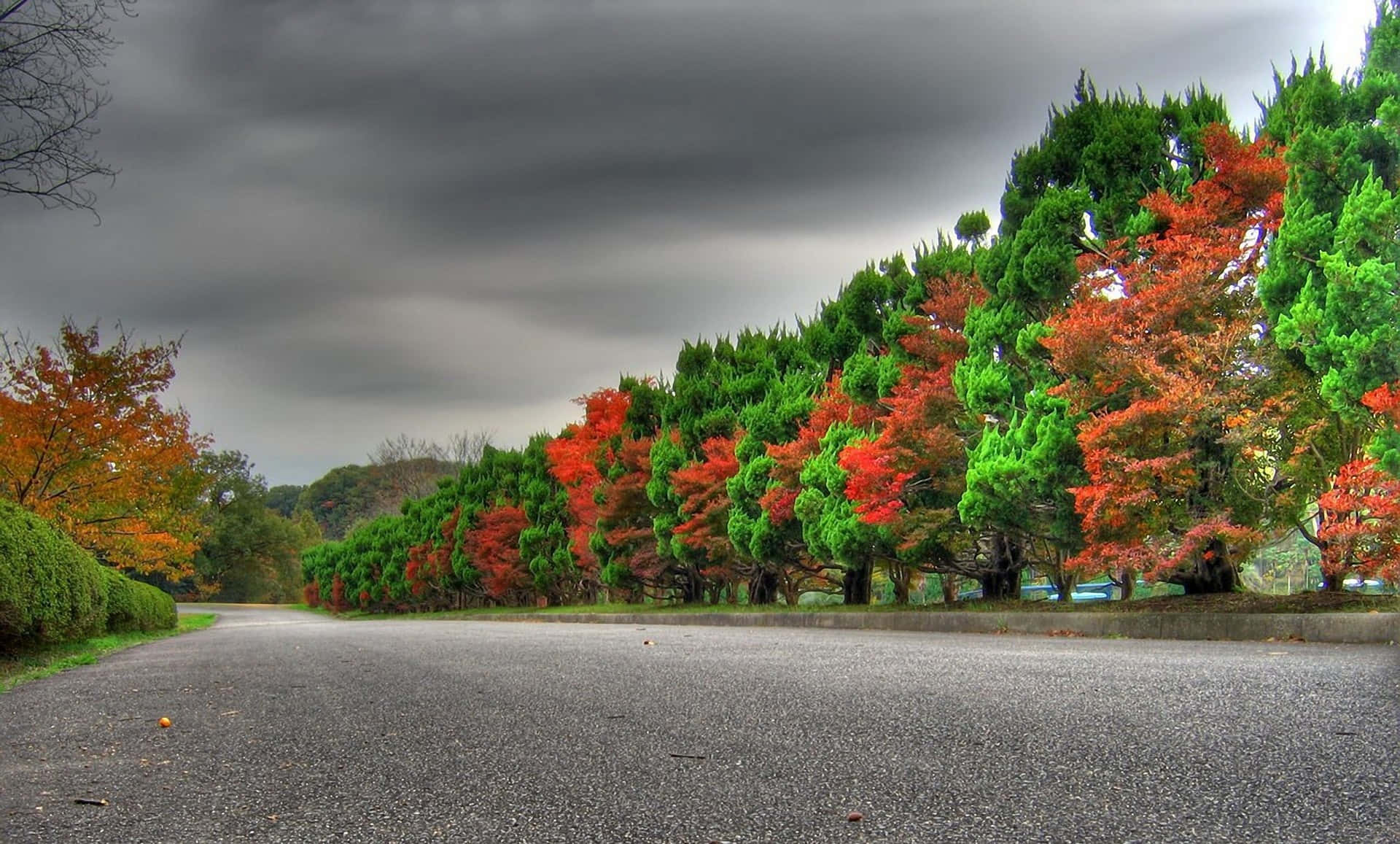 asphalt road, vibrant red and green trees, heavy gray storm cloud, Full HD Desktop Wallpaper