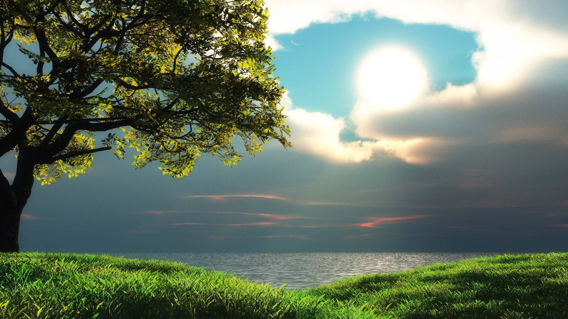 vibrant green leaves, grassy hill, calm sea, Full HD Desktop Wallpaper