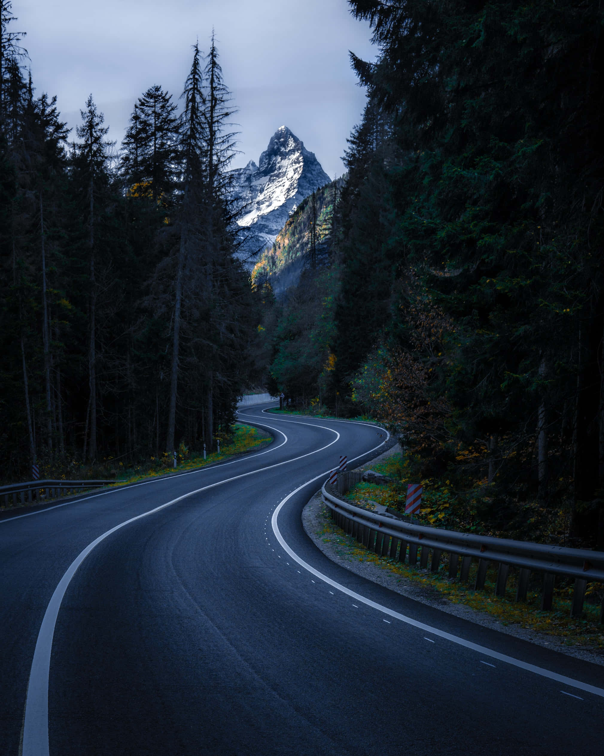 Cool Nature, wavy forest highway, snow-capped peak, Full HD Phone Wallpaper
