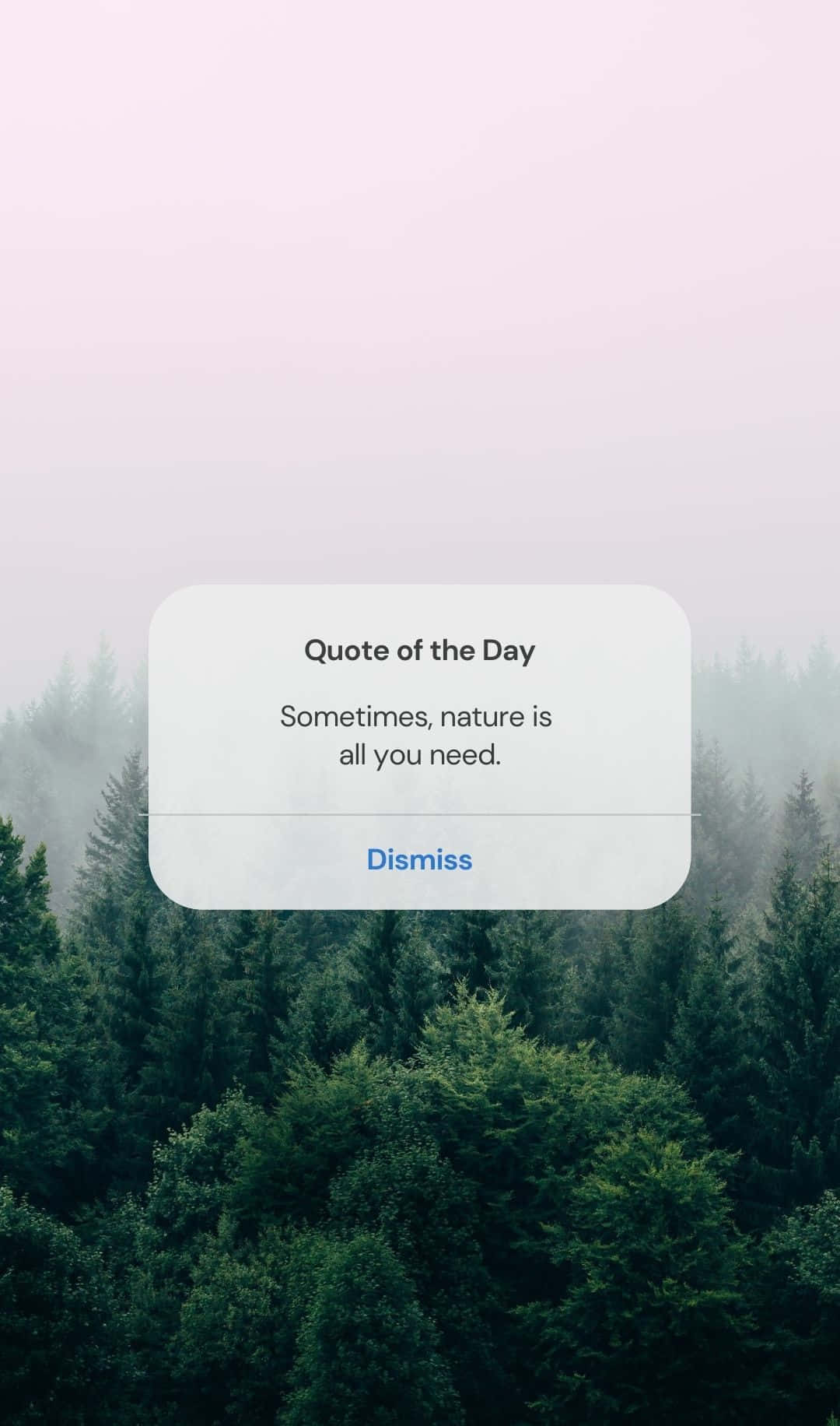 misty forest canopy, soft pink sky, floating quote box, HD Phone Wallpaper