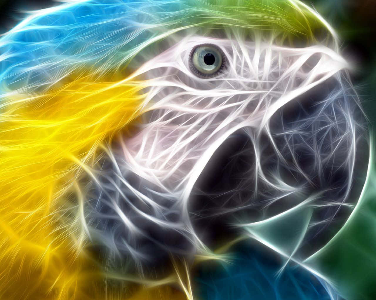 Neon Animal Macaw Bird's Head, electric fractal lines, glowing blue yellow and green hues, HD Desktop Wallpaper