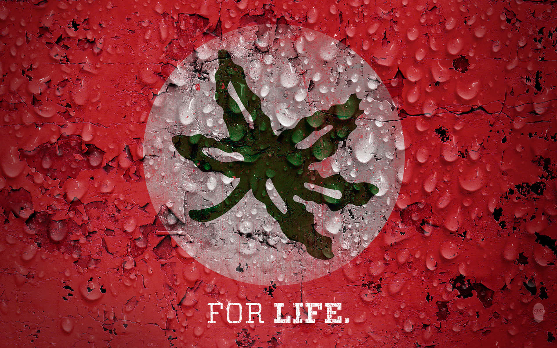 Ohio State, red flag, green cannabis leaf, Full HD Desktop Wallpaper