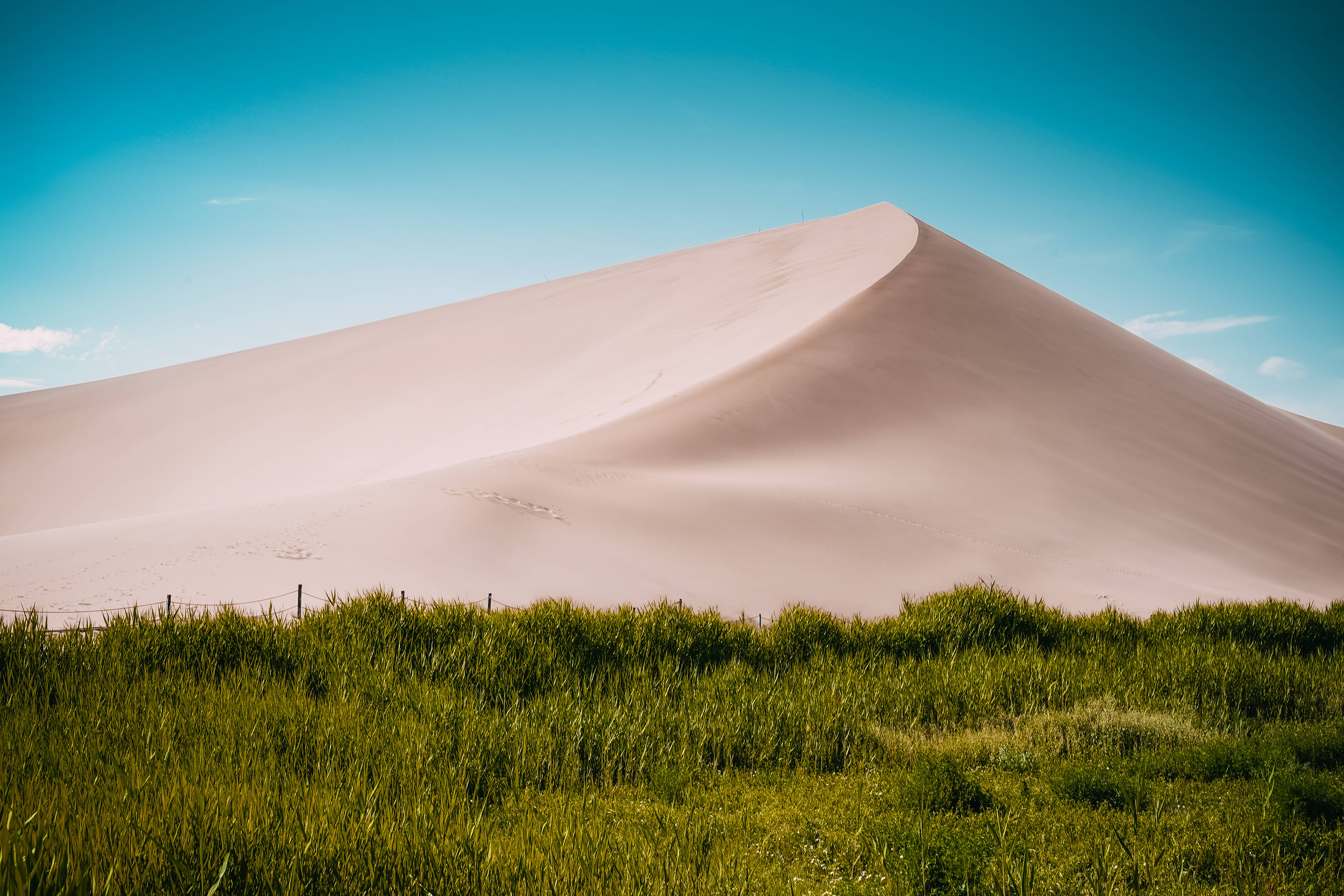 sand dune, clear blue sky, vibrant green grassy foreground, 5K Desktop Wallpaper