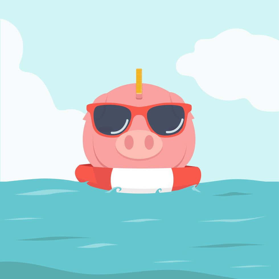 Cool Piggy, sunglasses, lifebuoy, SD Desktop Wallpaper