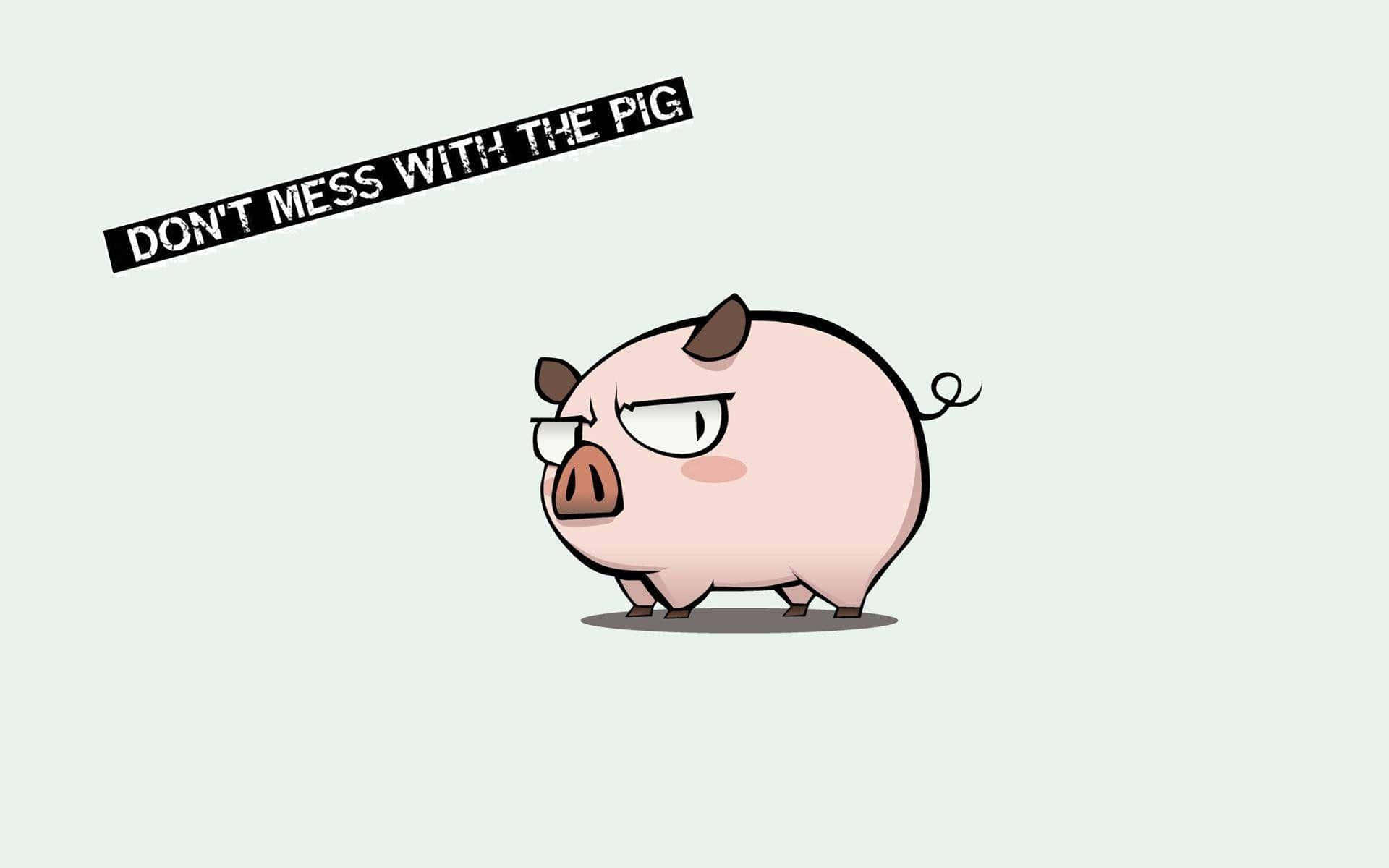 Cool Piggy, cartoon pig, glasses, Full HD Desktop Wallpaper