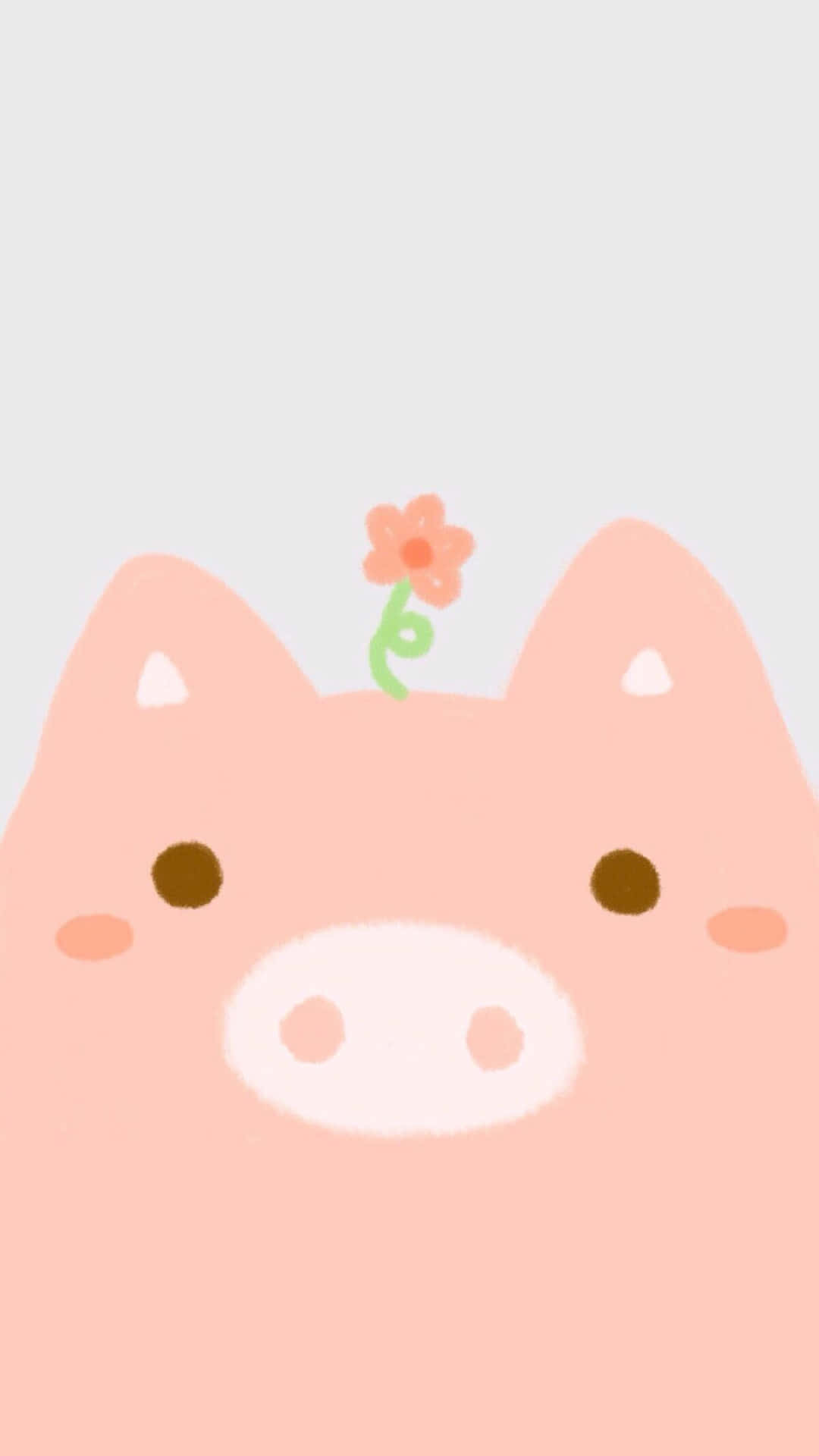 Cool Piggy, pink, orange flower, Full HD Phone Wallpaper