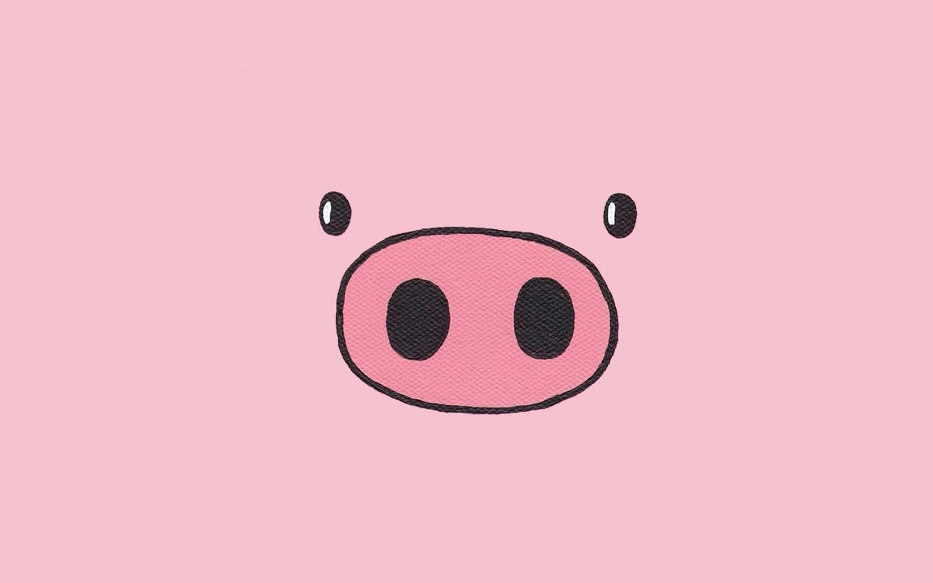 Cool Piggy, pink background, black nostrils, Full HD Desktop Wallpaper