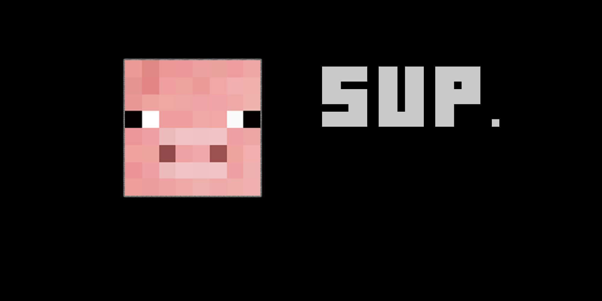 Cool Piggy, pink pig head, SUP, Full HD Desktop Wallpaper