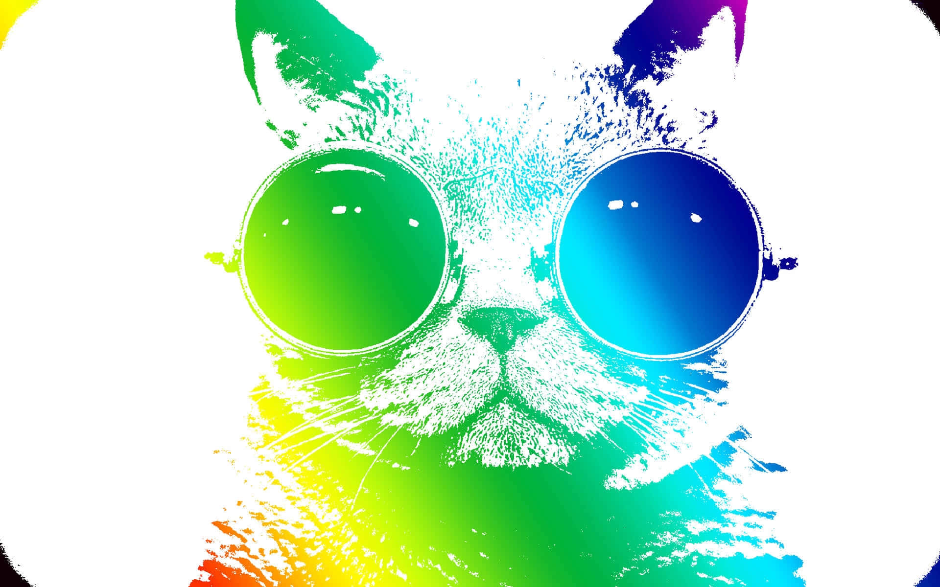 colorful cat, rainbow splatter fur, oversized gradient sunglasses, Full HD Desktop Wallpaper