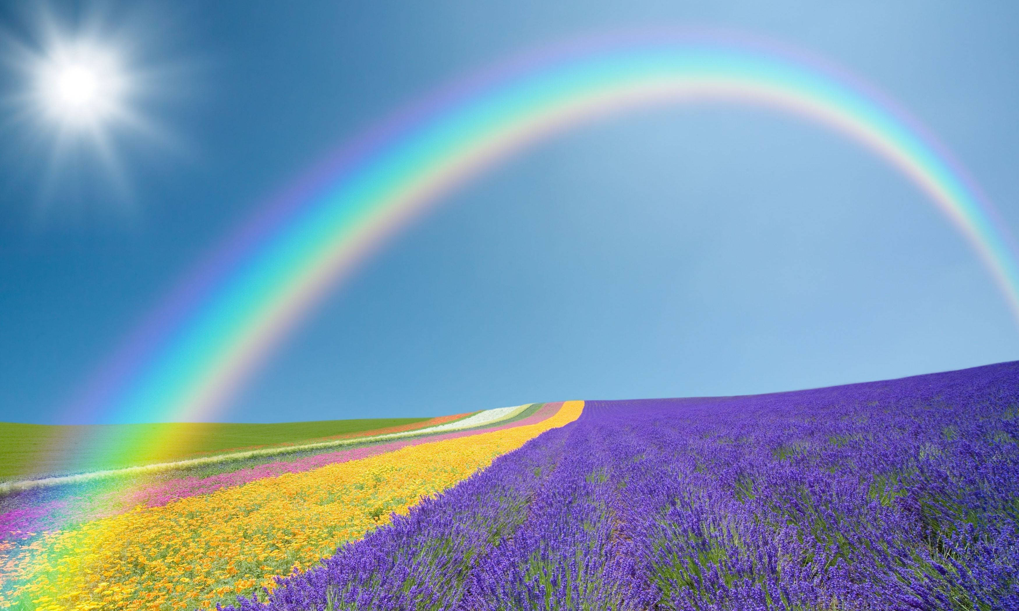 rainbow, sky, sunlit field, 2K Desktop Wallpaper