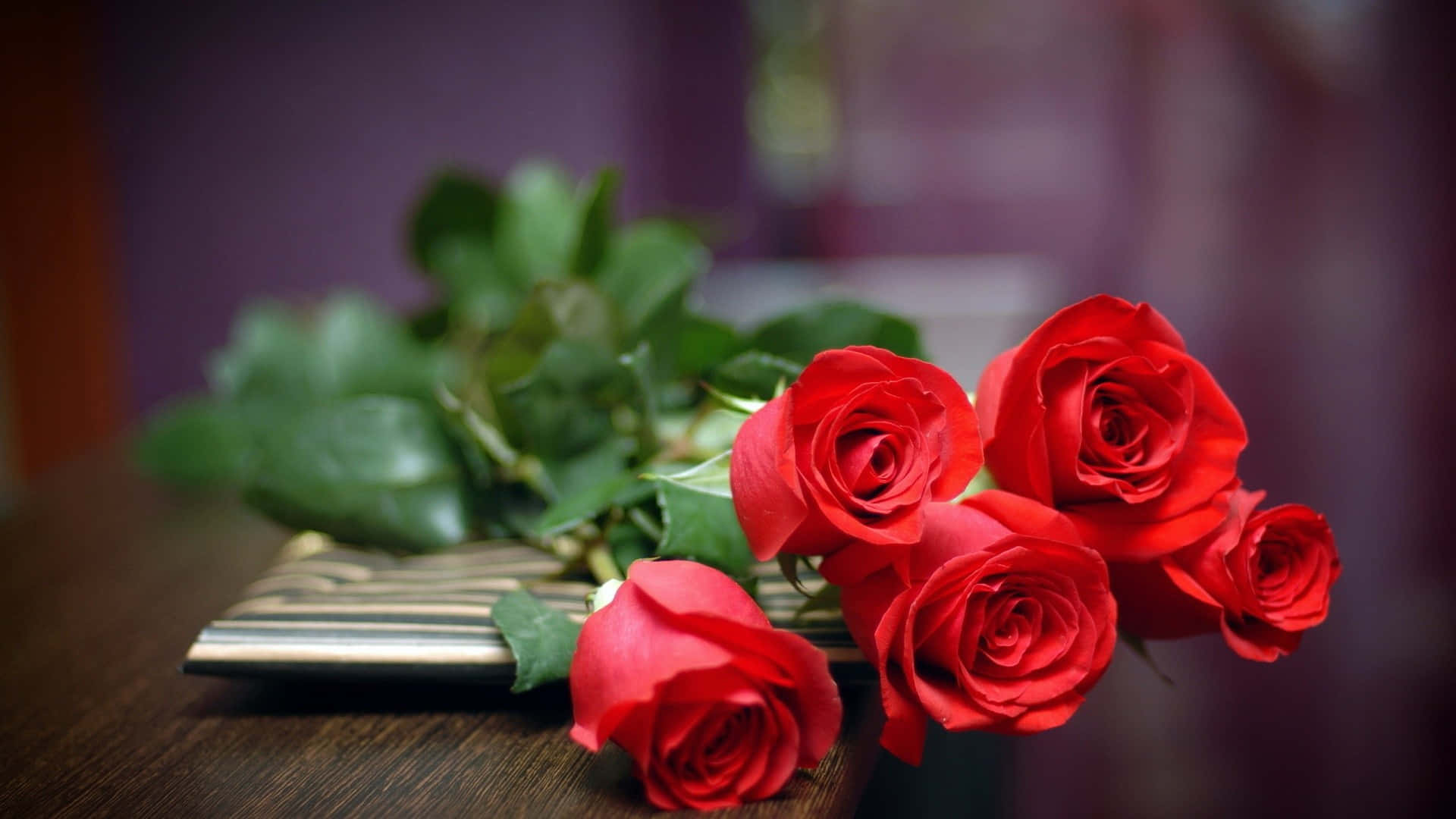 cool rose, vibrant red roses, lush green leaves, Full HD Desktop Wallpaper