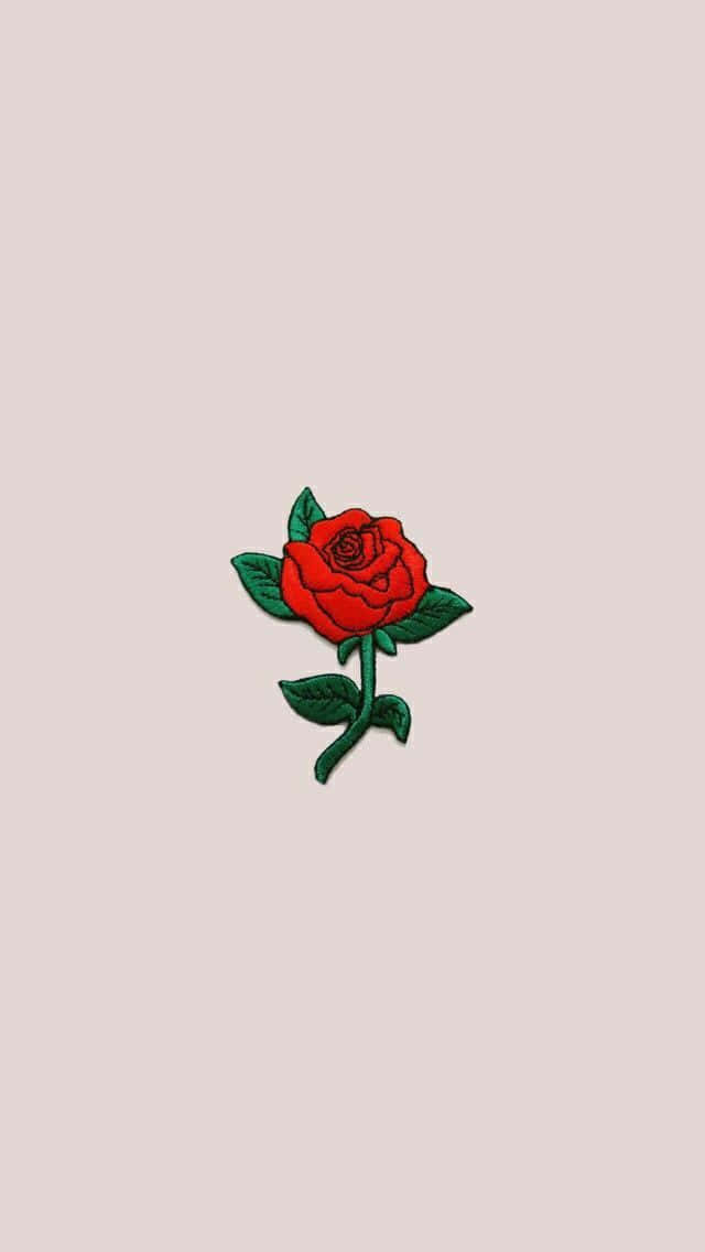 Cool Rose, red rose, green leaves, SD Phone Wallpaper