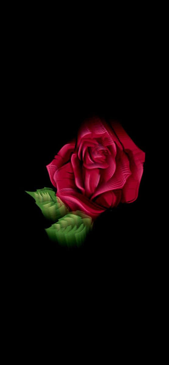 cool rose, vivid red rose, glowing green leaves, SD Phone Wallpaper