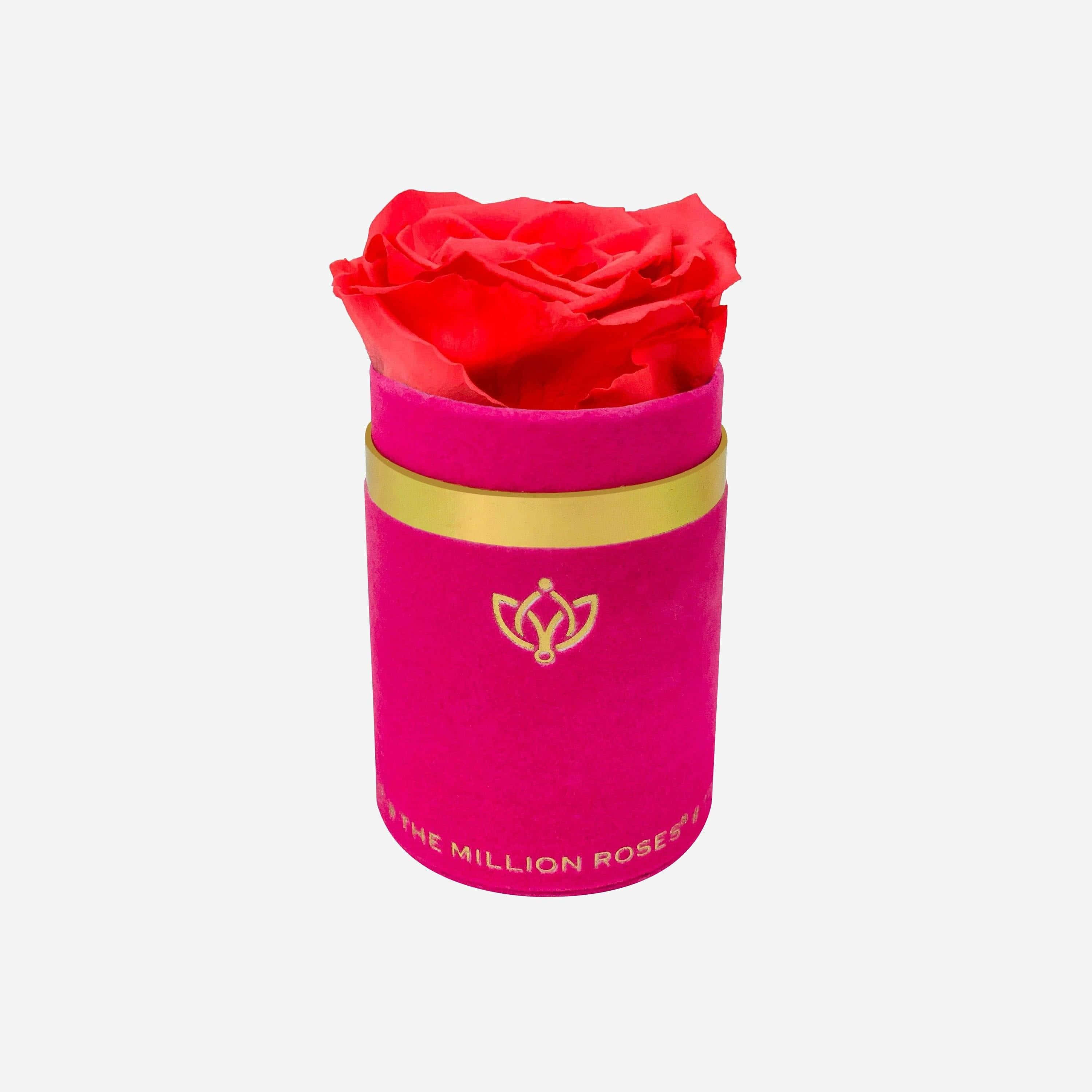 single rose 3000 x 3000 wallpaper, Elegant Single Red Rose, fuchsia velvet cylinder, 2K Desktop Wallpaper