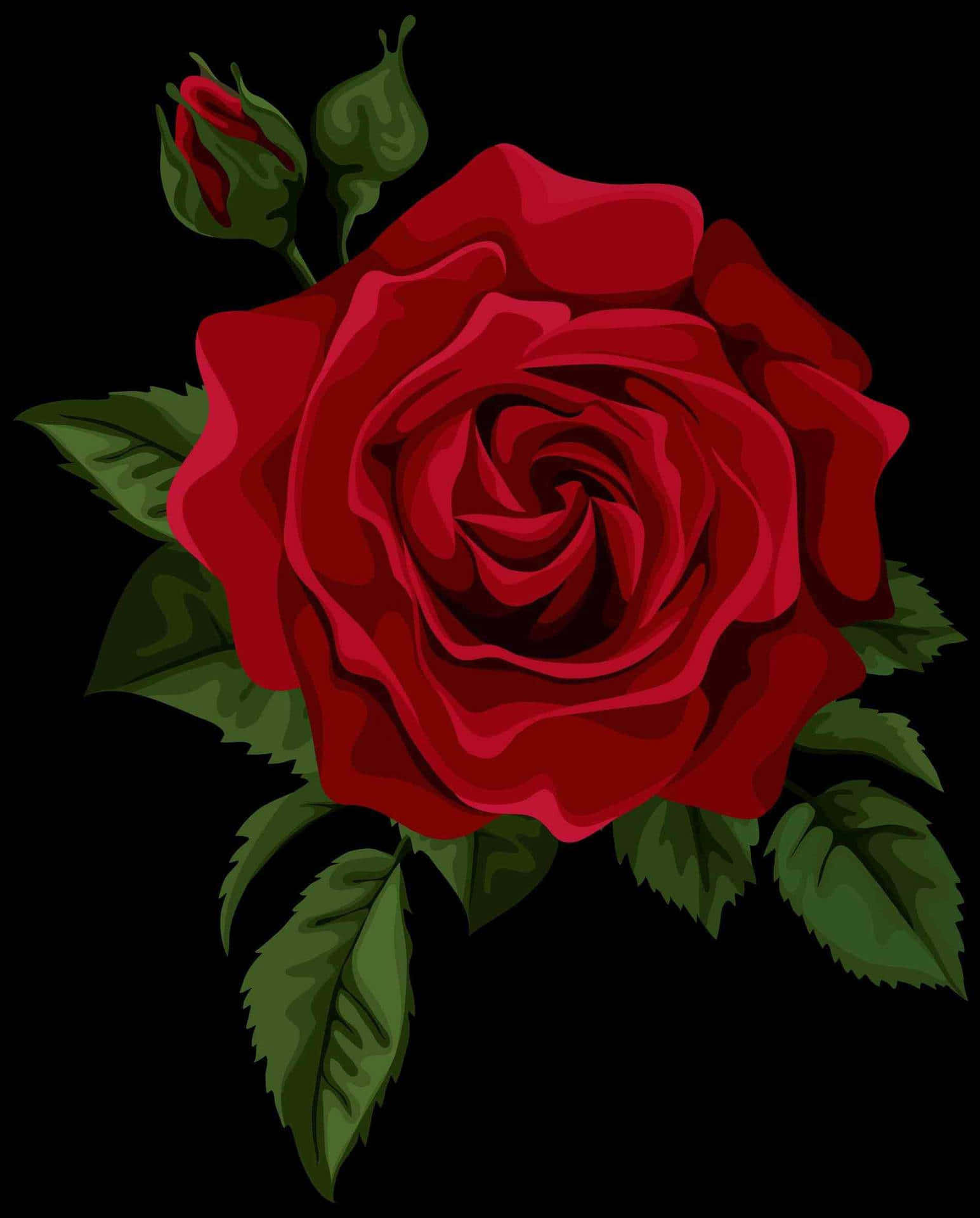 vibrant red rose, green leaves, buds, Full HD Phone Wallpaper