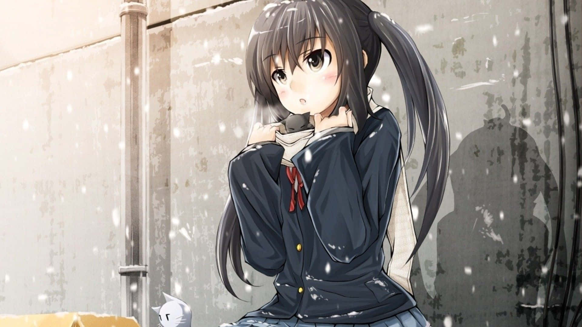 winter coat, snowy sidewalk, snowstorm, Full HD Desktop Wallpaper
