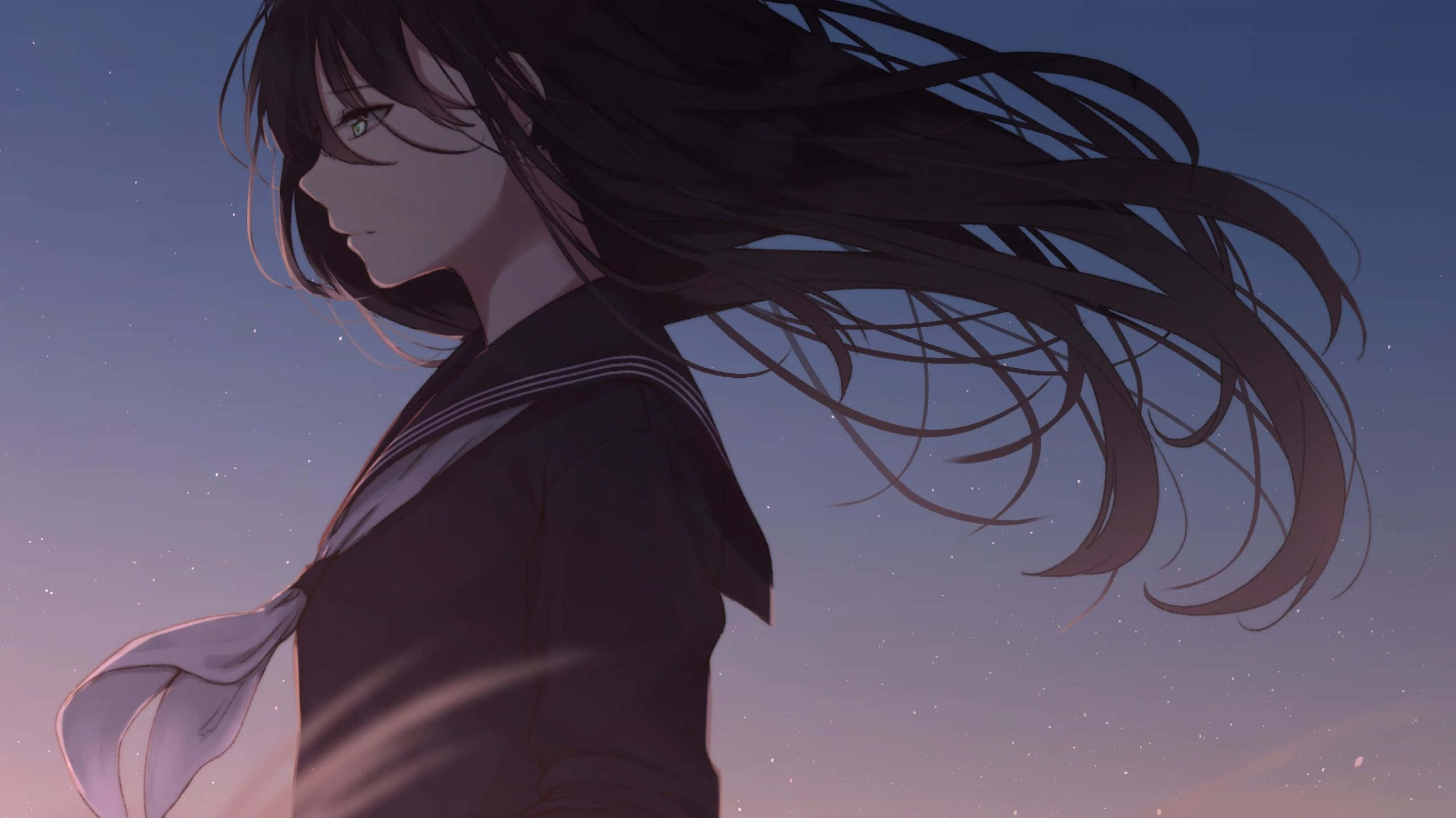 sailor uniform, long dark hair, twilight, 2K Desktop Wallpaper