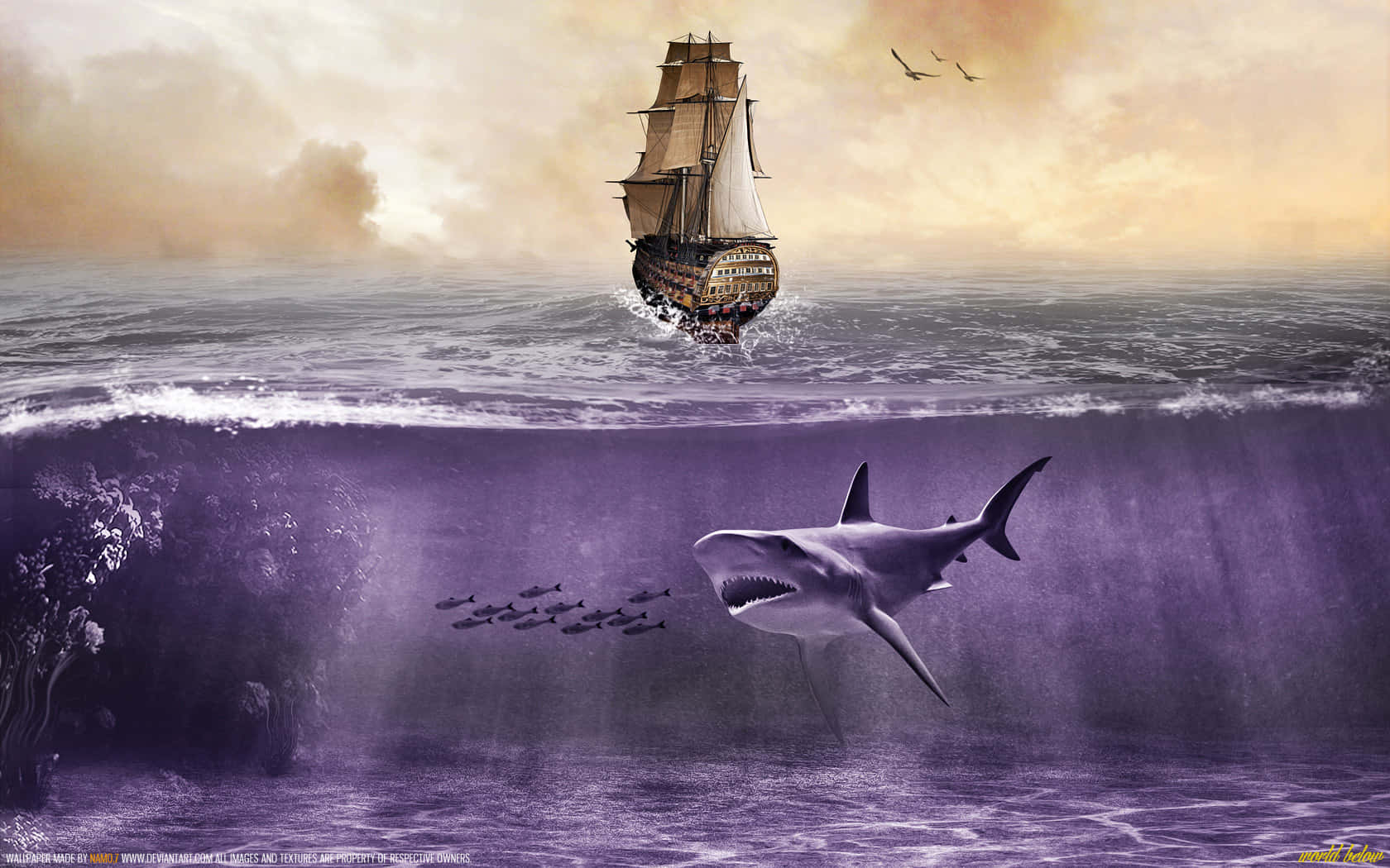 Cool Shark, purple ocean, massive shark, HD Desktop Wallpaper