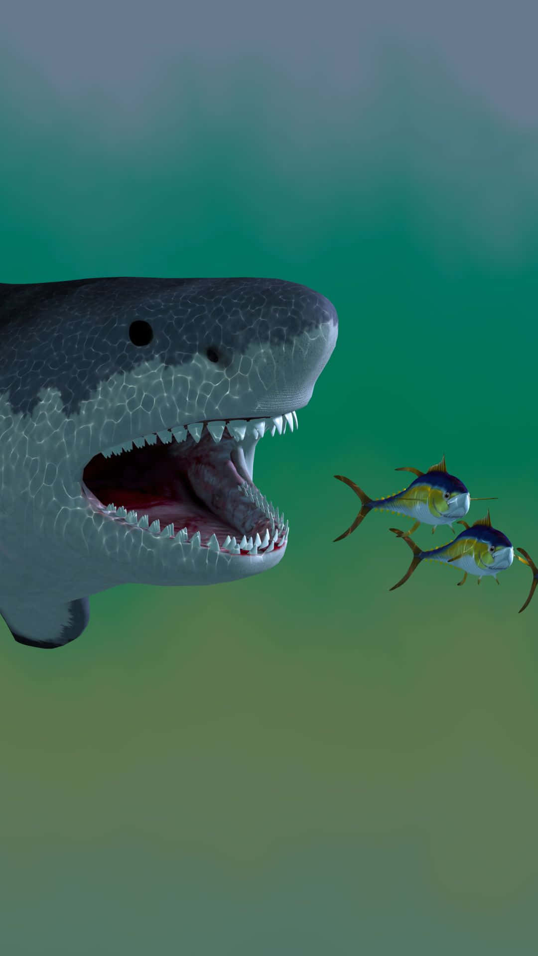 Cool Shark, tuna fish, murky green ocean water, Full HD Phone Wallpaper