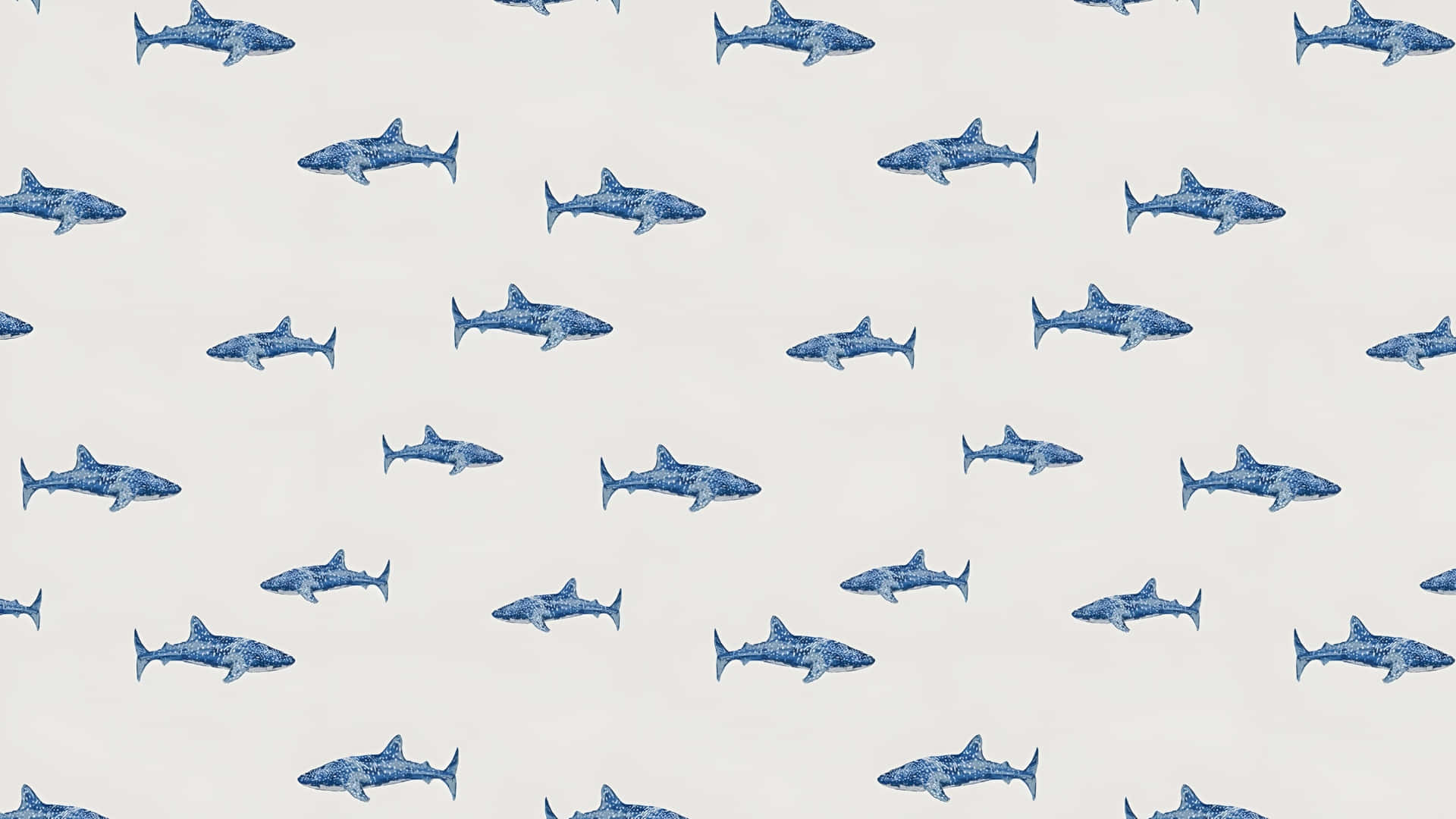 cute shark pattern, blue sharks, light cream background, Full HD Desktop Wallpaper