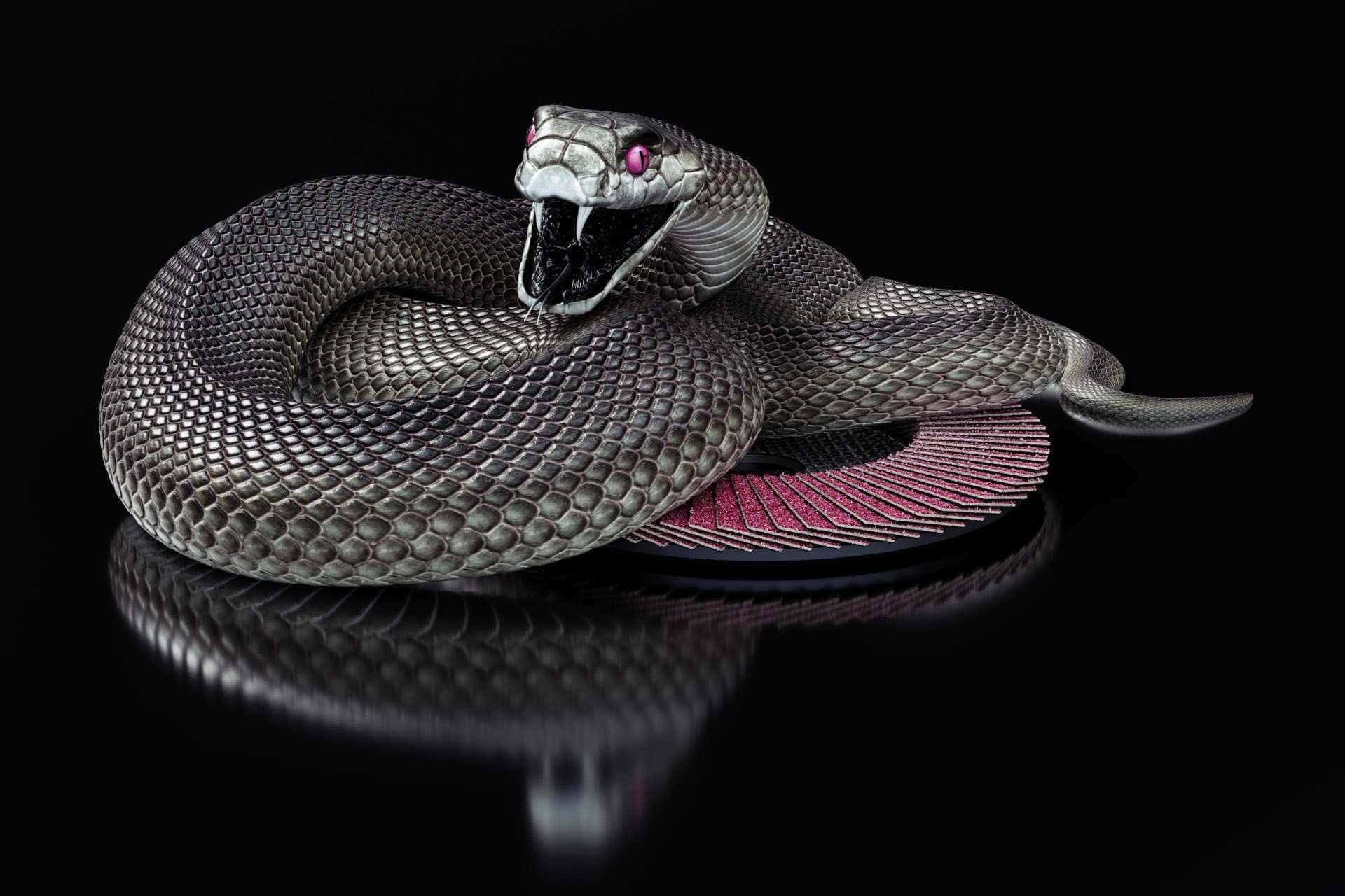 Cool Snake, metallic snake, glowing pink eyes, Full HD Desktop Wallpaper
