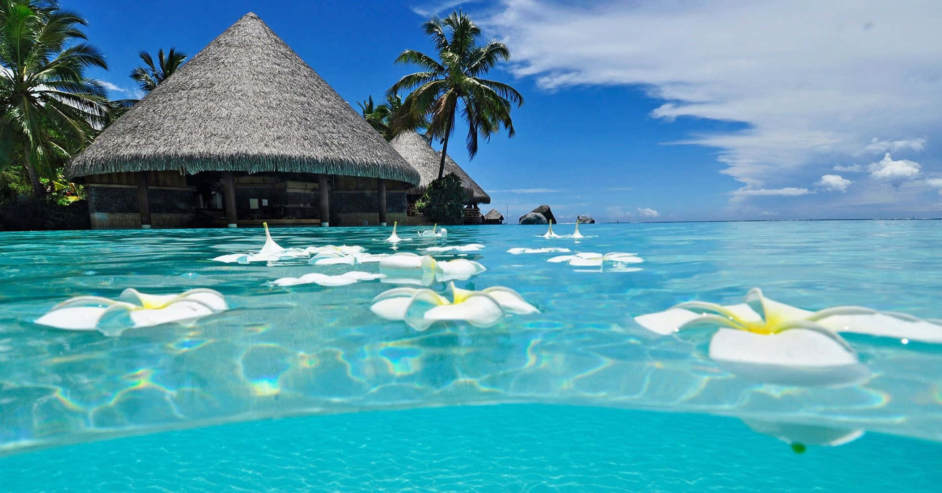 frangipani flowers, crystal clear turquoise water, thatched-roof overwater bungalows, Full HD Desktop Wallpaper