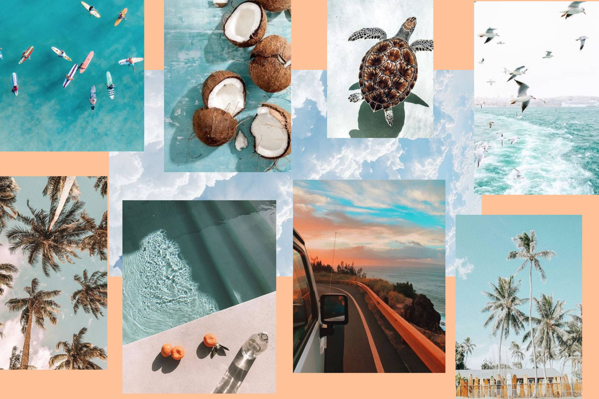 tropical scenes, surfers, coconuts, Full HD Desktop Wallpaper