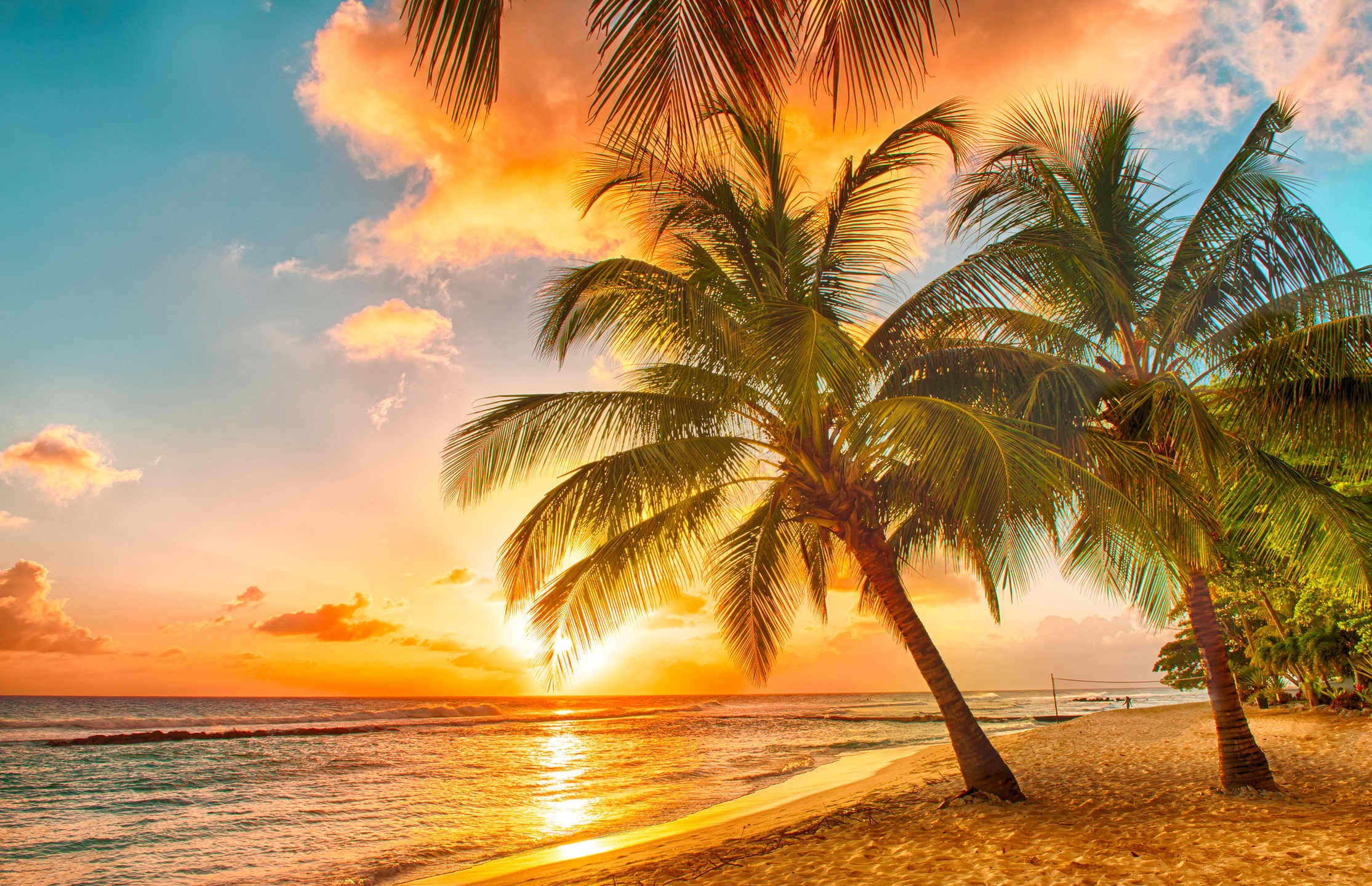 vivid sunset, still lake, palm trees, Full HD Desktop Wallpaper