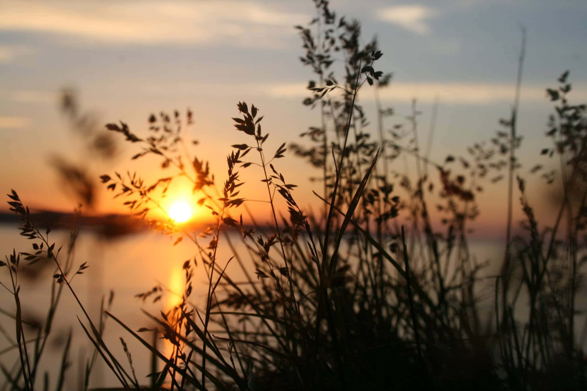 cool sunset, glowing sunset, calm water, Full HD Desktop Wallpaper