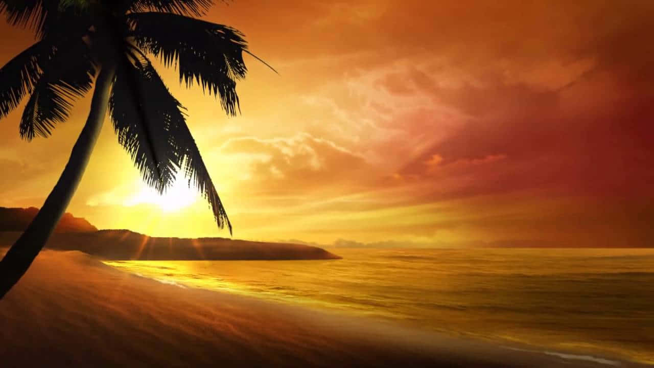 peaceful sunset, fiery sunset, tropical beach, HD Desktop Wallpaper