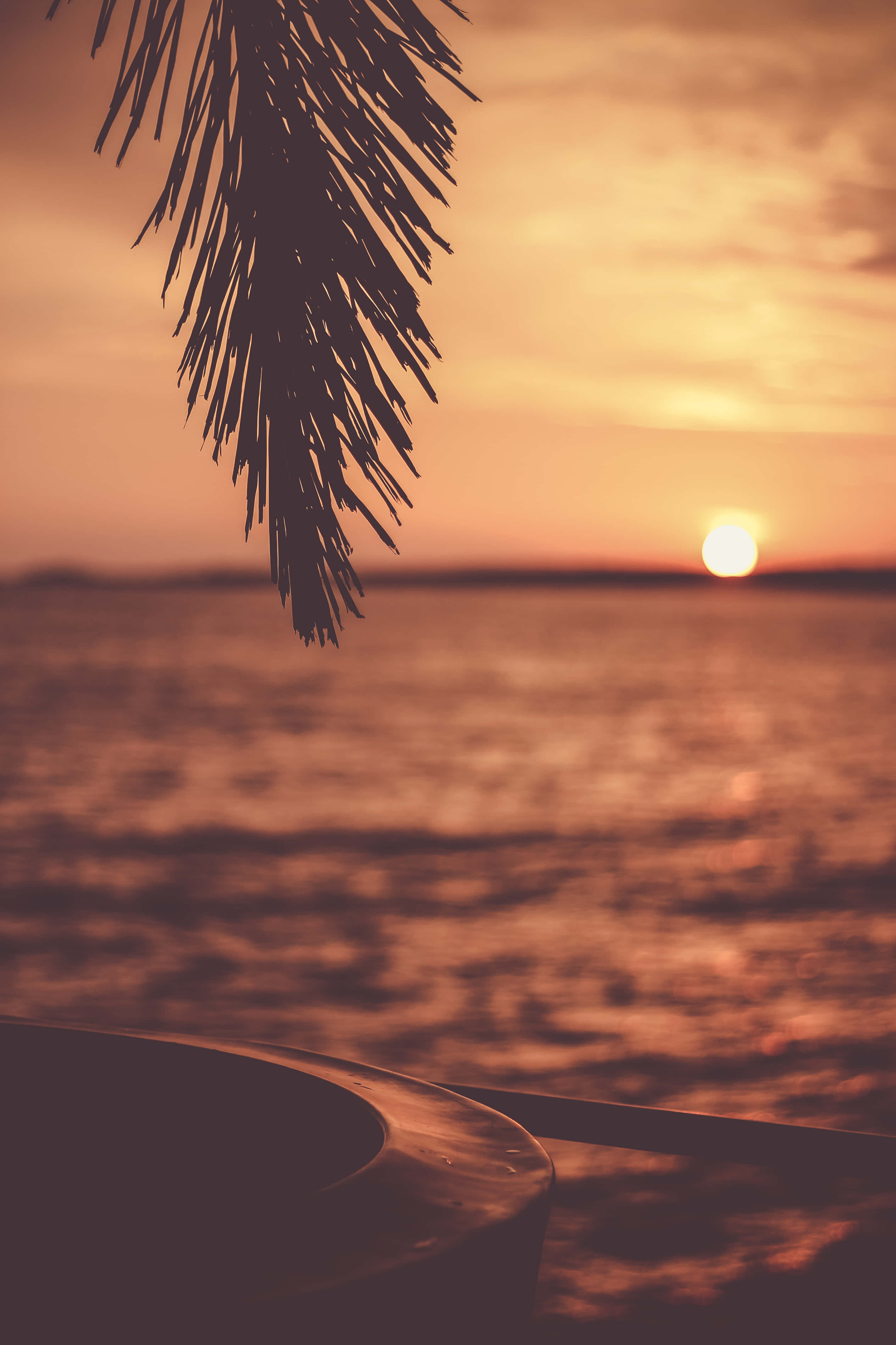Sunset, City Skyline, Palm Frond Silhouette, 4K Phone Wallpaper