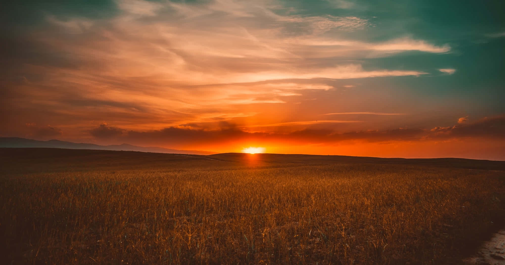 golden wheat field, distant horizon, sun sets in fiery orange, Full HD Desktop Wallpaper
