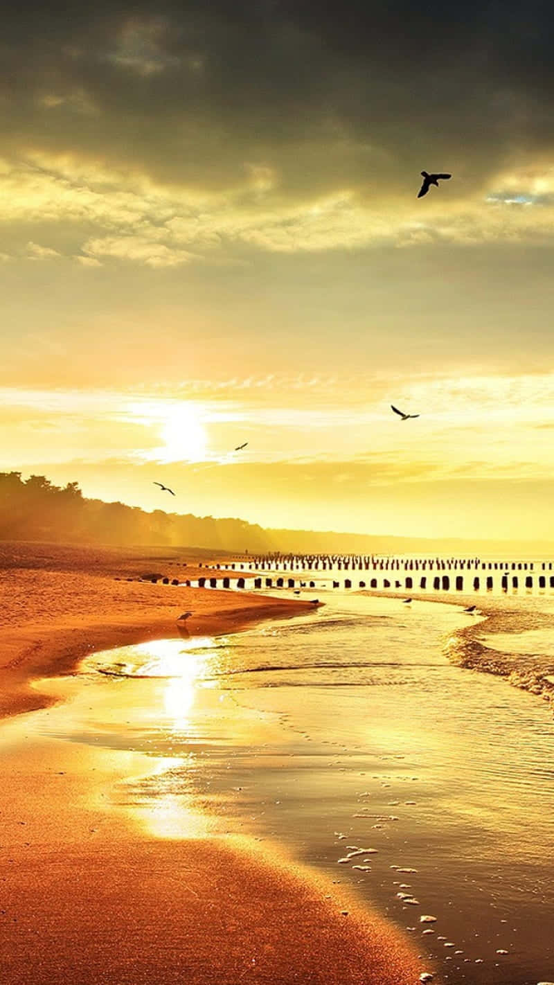 cool sunset, orange sunset, tranquil beach, HD Phone Wallpaper