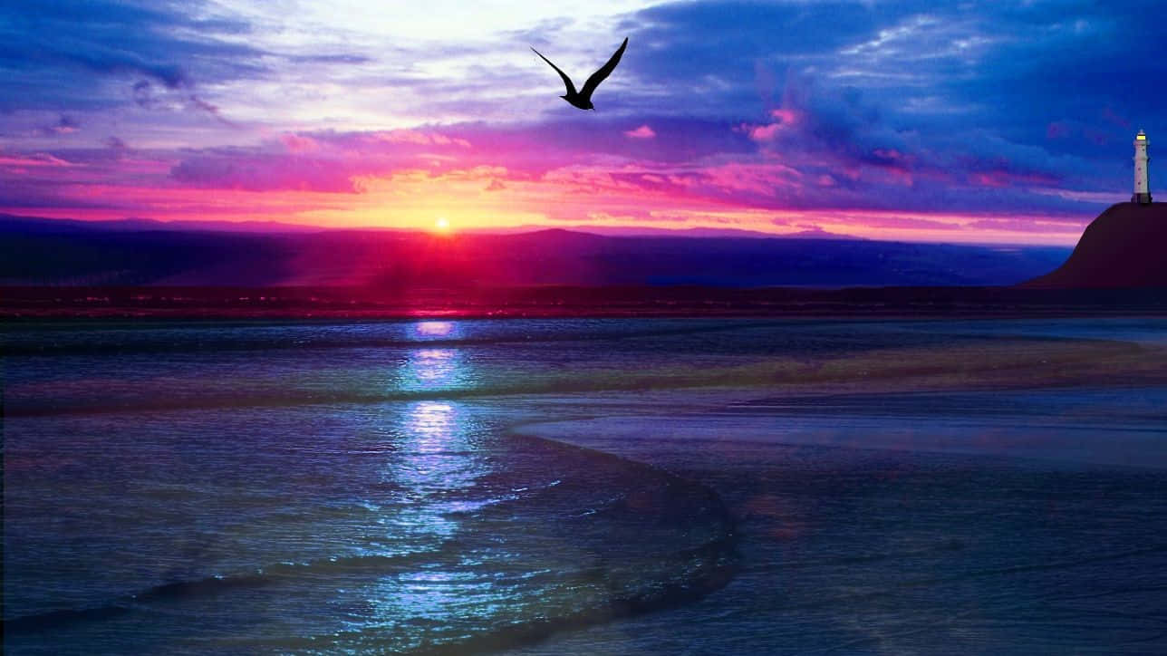 cool sunset, beach shore, vibrant sunset, HD Desktop Wallpaper