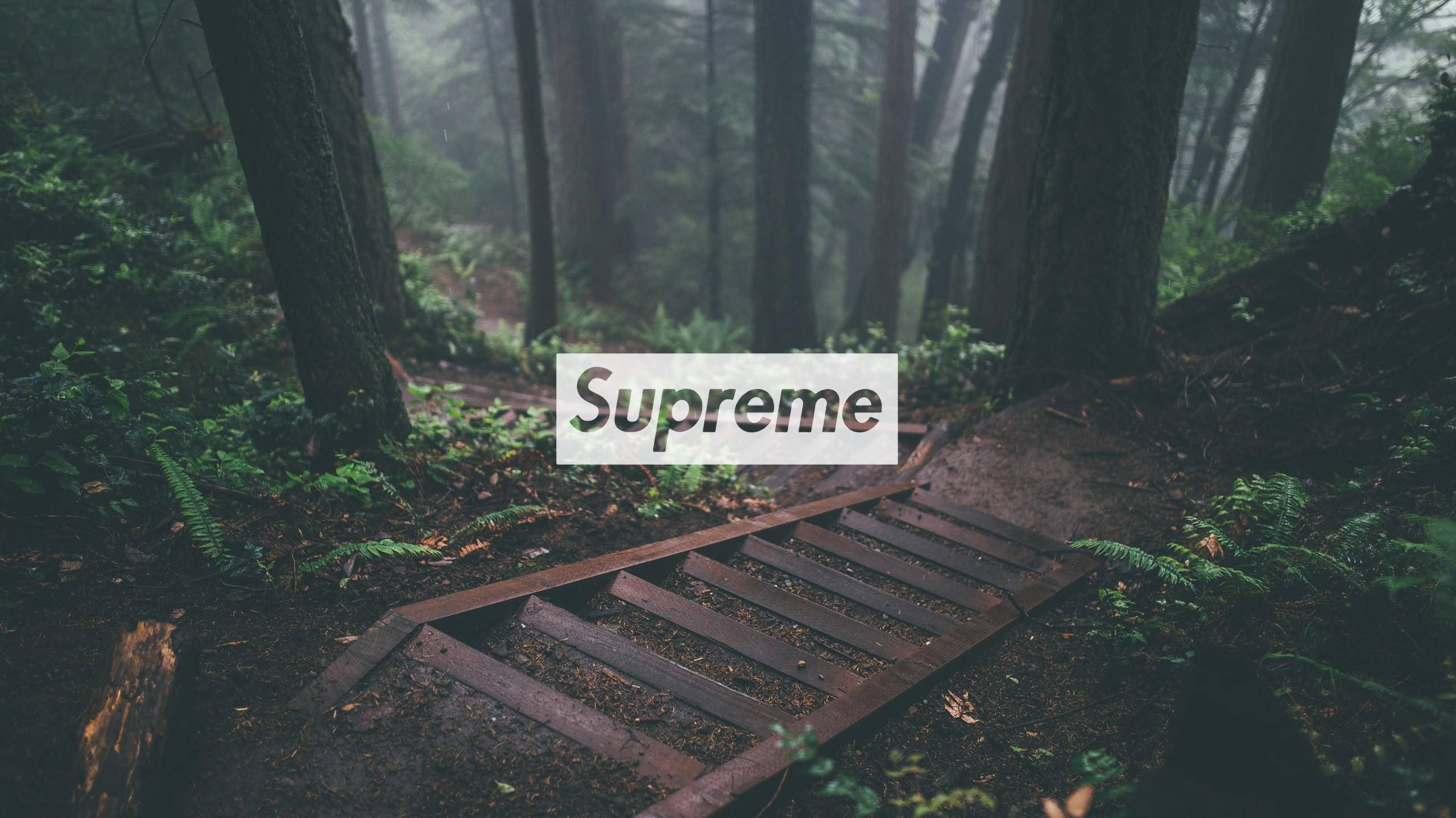 Cool Supreme, forest staircase, misty forest, 2K Desktop Wallpaper