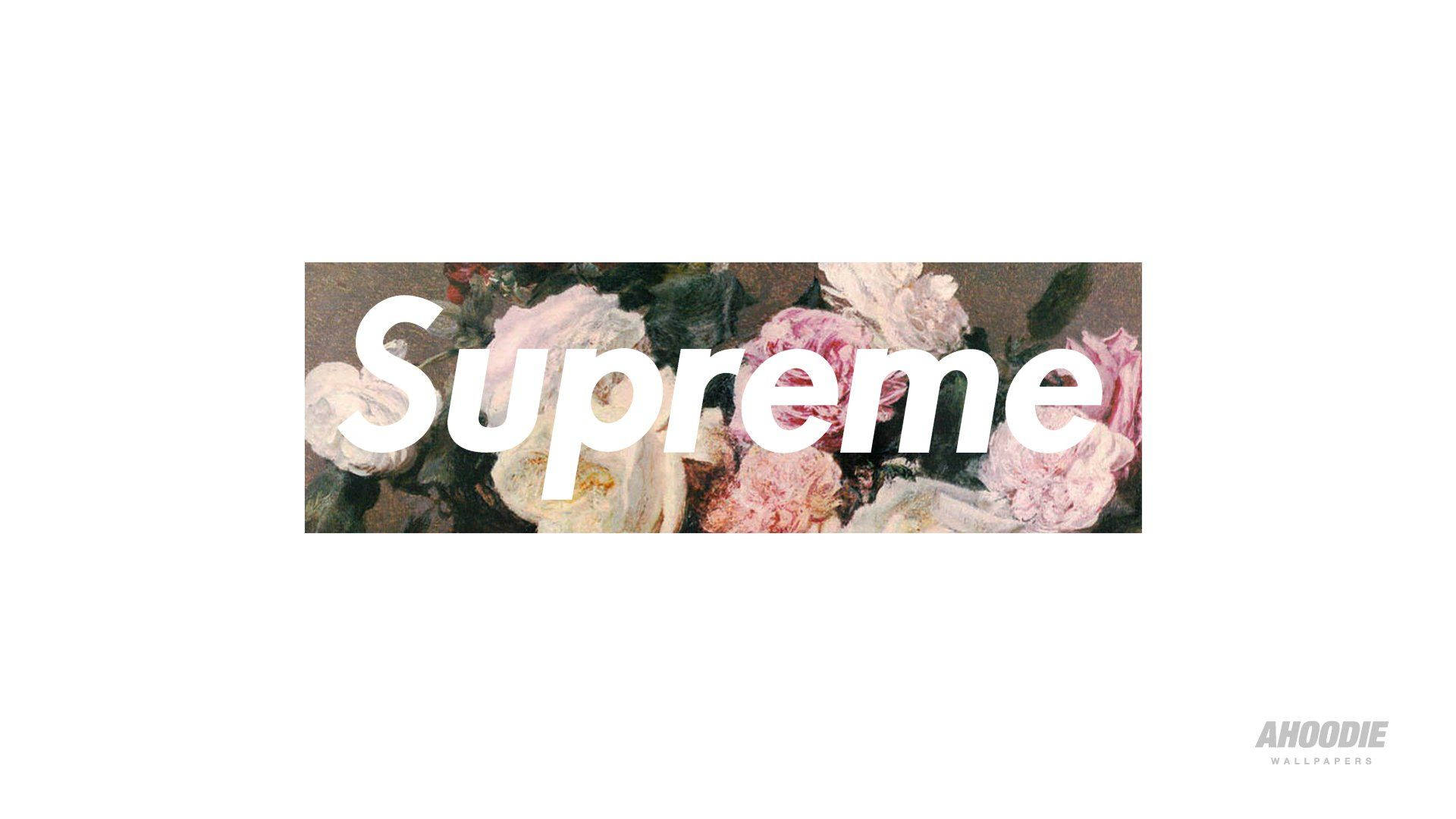 Cool Supreme, white roses, Supreme logo, Full HD Desktop Wallpaper