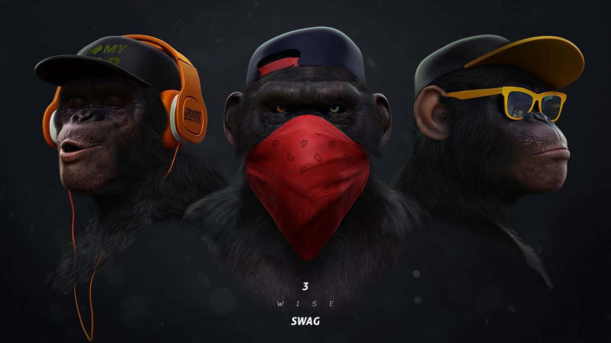 3 WISE SWAG, chimpanzees, urban streetwear, SD Desktop Wallpaper